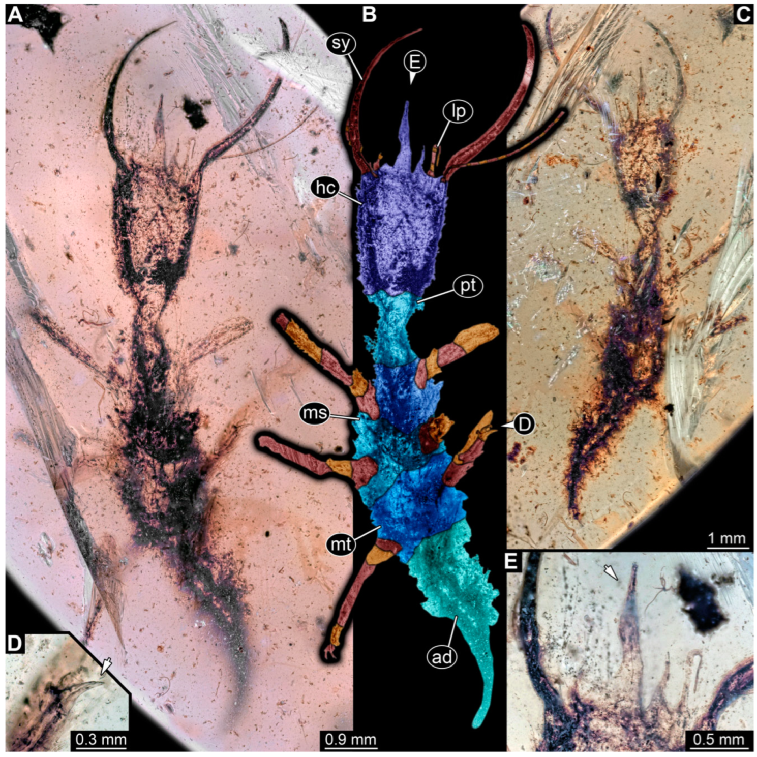 Insects 14 00170 g005 Insects 14 00170 g005