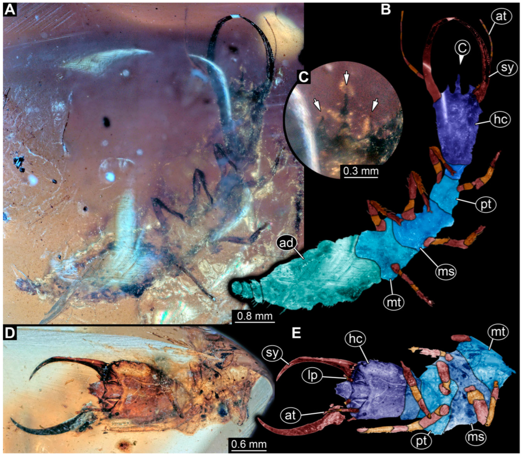 Insects 14 00170 g006 Insects 14 00170 g006