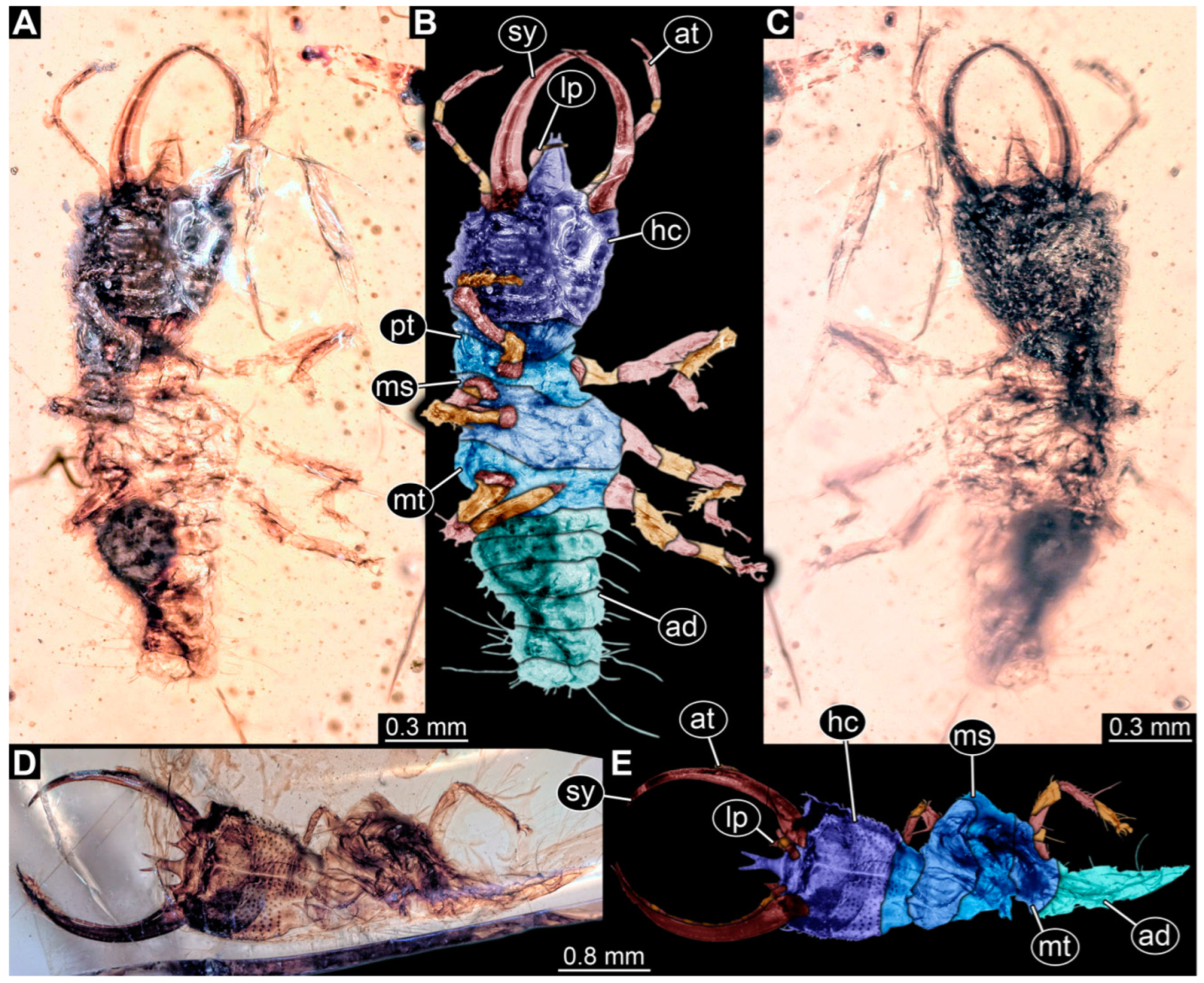 Insects 14 00170 g007 Insects 14 00170 g007
