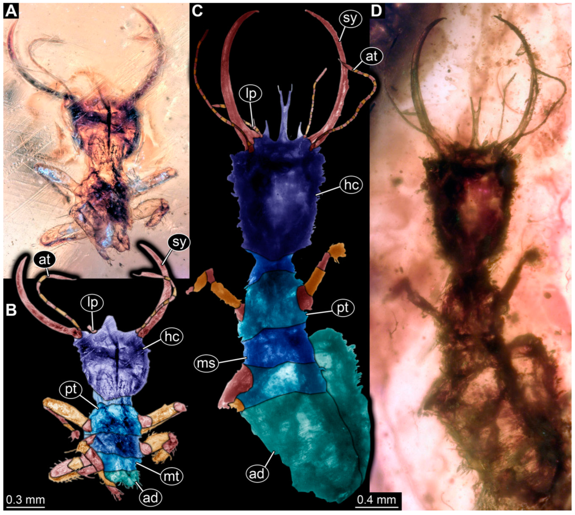 Insects 14 00170 g008 Insects 14 00170 g008