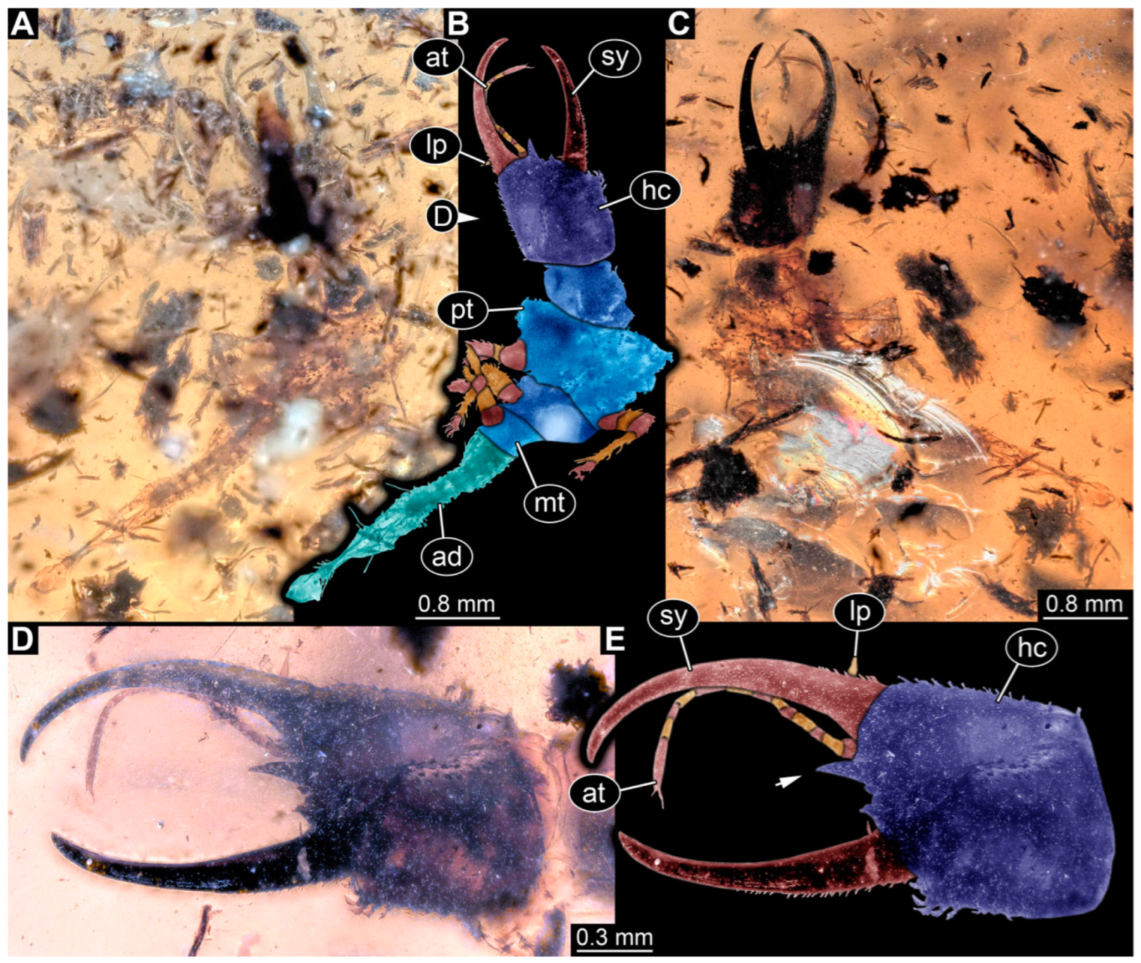 Insects 14 00170 g009 Insects 14 00170 g009