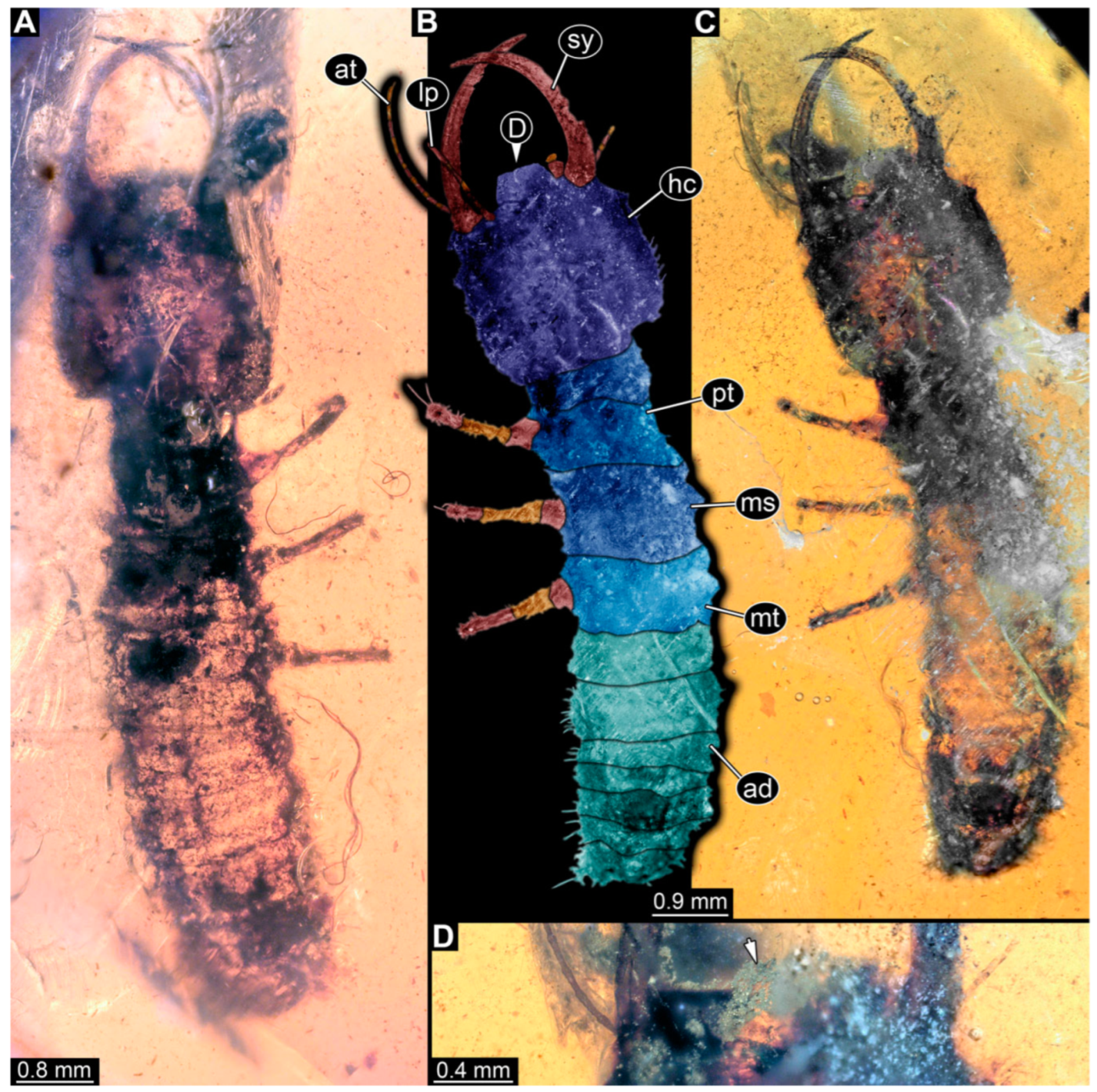 Insects 14 00170 g010 Insects 14 00170 g010