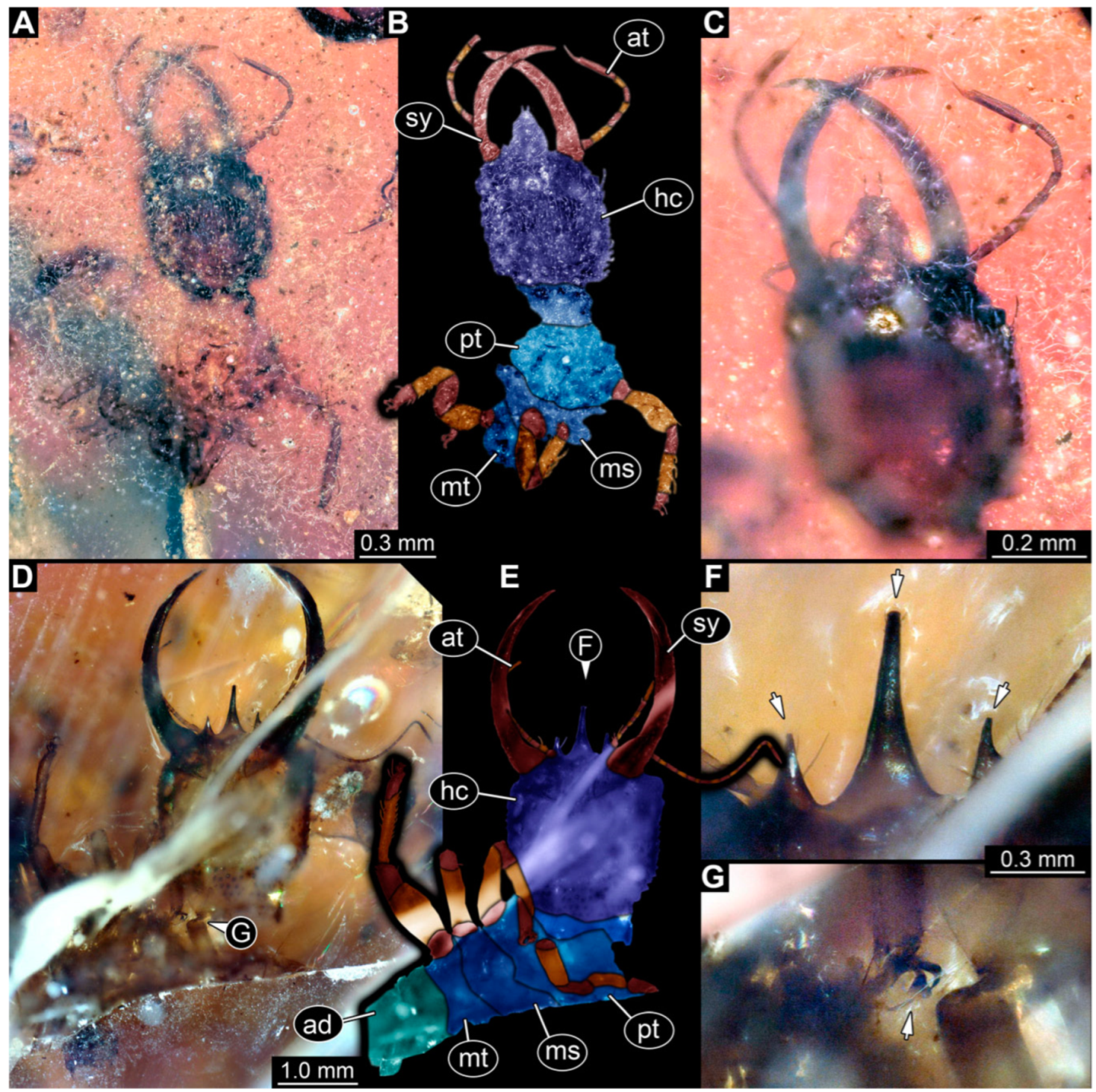 Insects 14 00170 g011 Insects 14 00170 g011