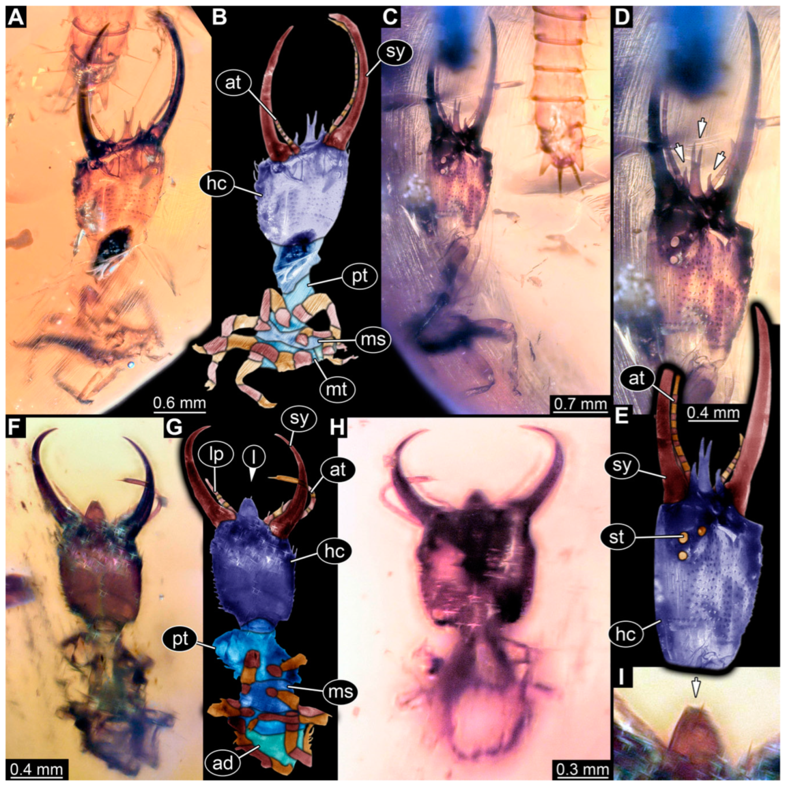 Insects 14 00170 g012 Insects 14 00170 g012