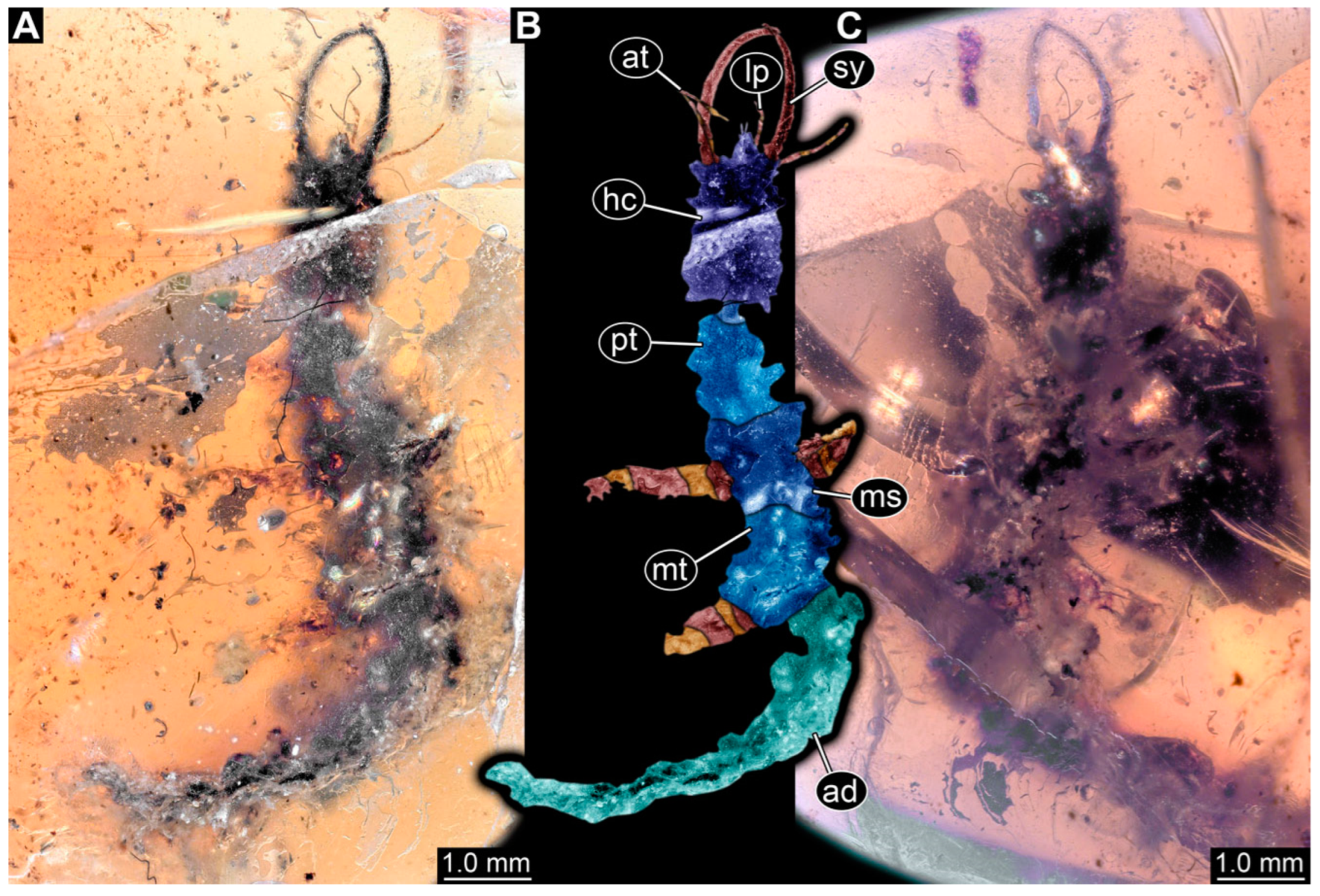 Insects 14 00170 g013 Insects 14 00170 g013