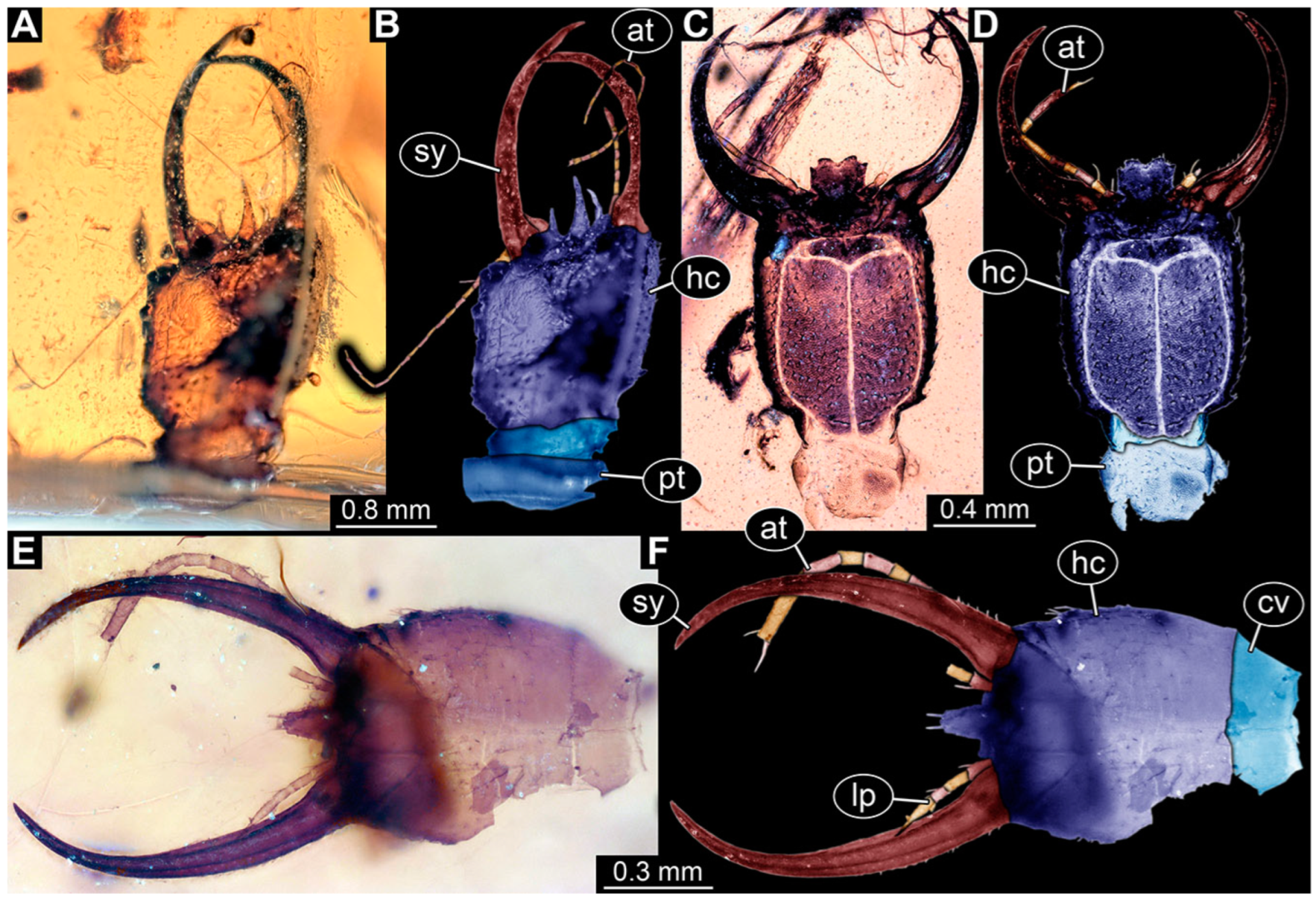 Insects 14 00170 g014 Insects 14 00170 g014