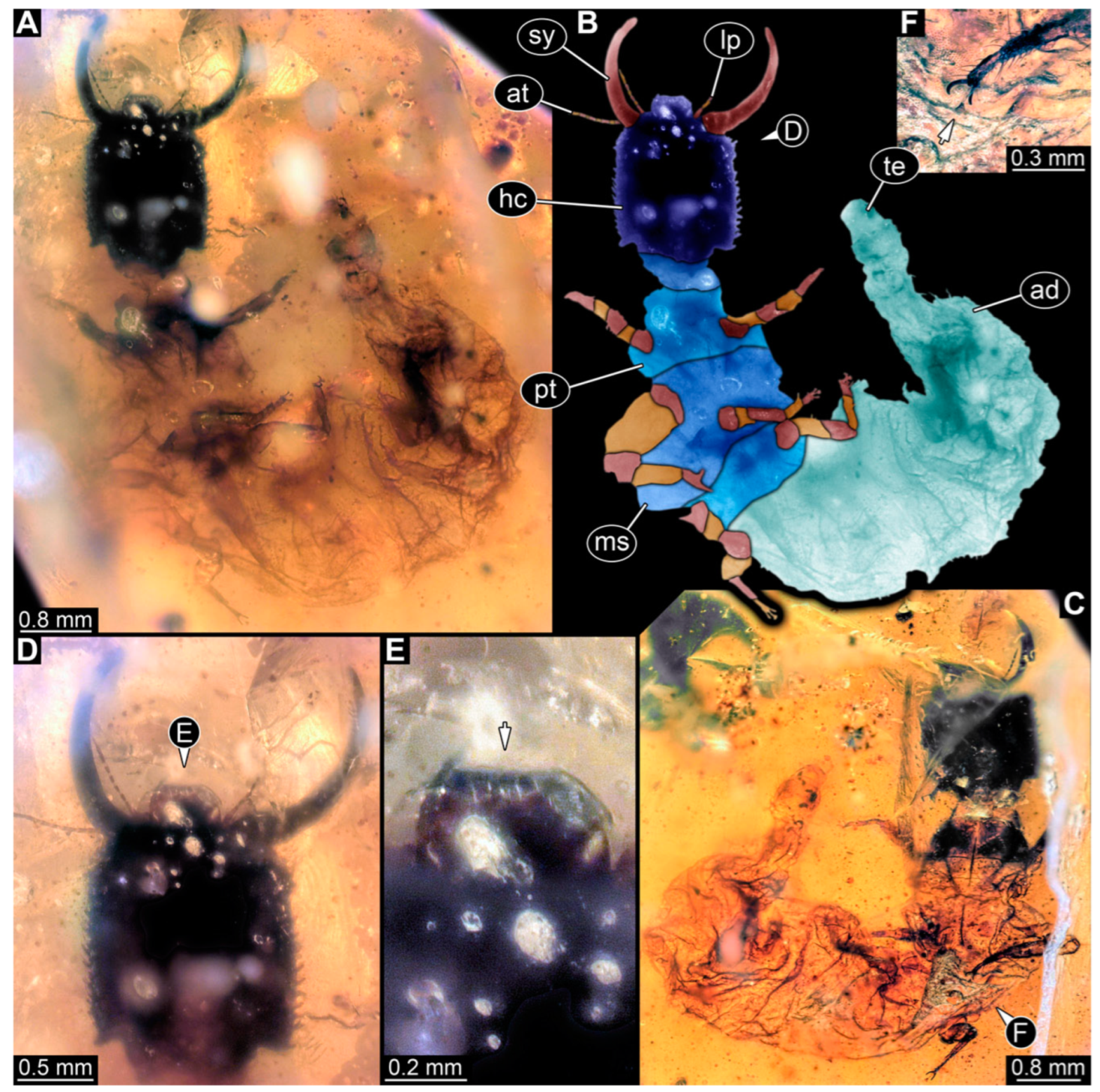 Insects 14 00170 g015 Insects 14 00170 g015