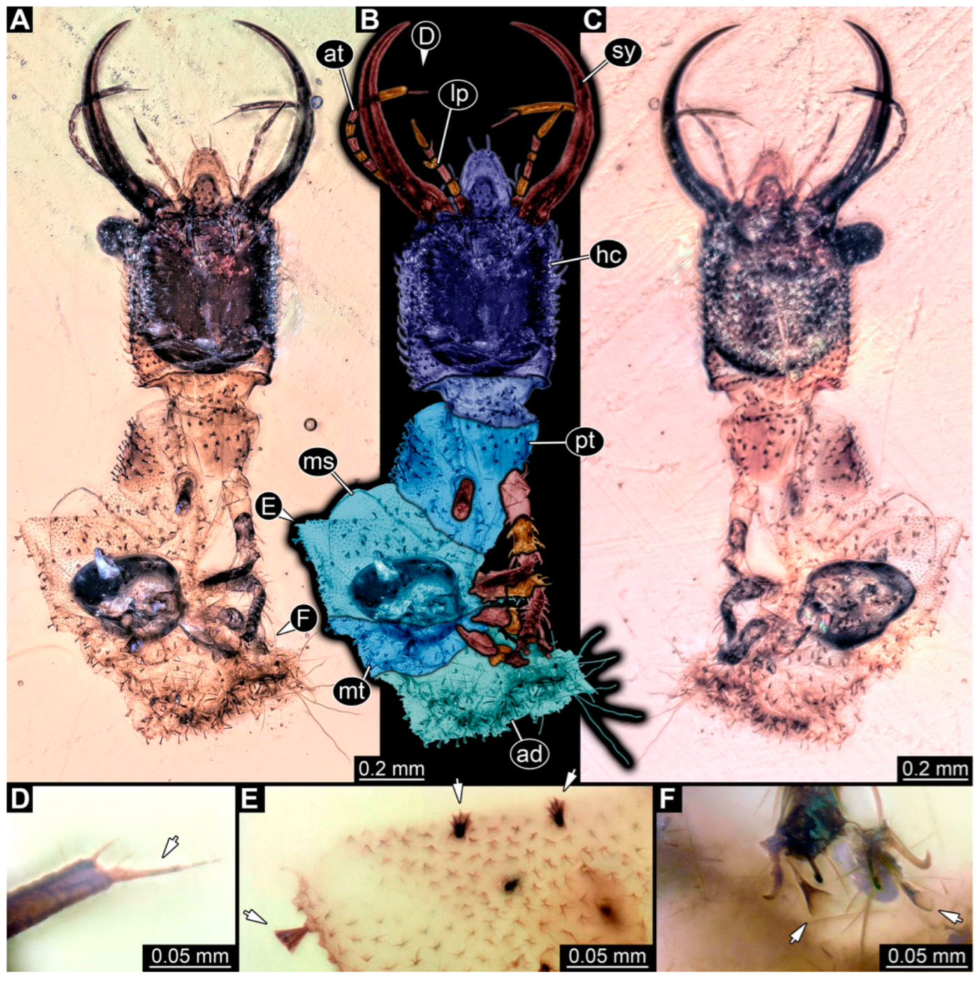Insects 14 00170 g016 Insects 14 00170 g016