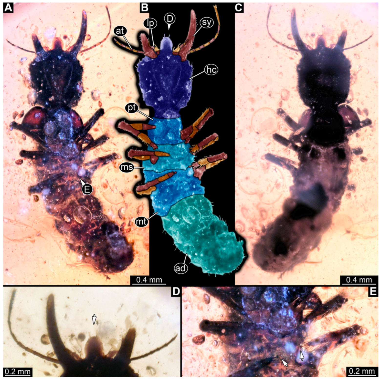 Insects 14 00170 g017 Insects 14 00170 g017