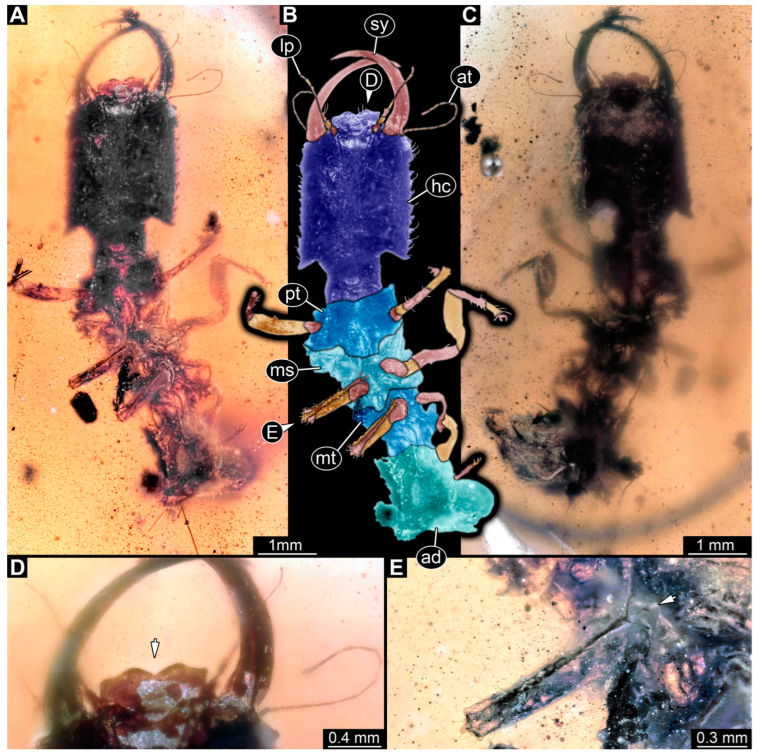 Insects 14 00170 g018 Insects 14 00170 g018