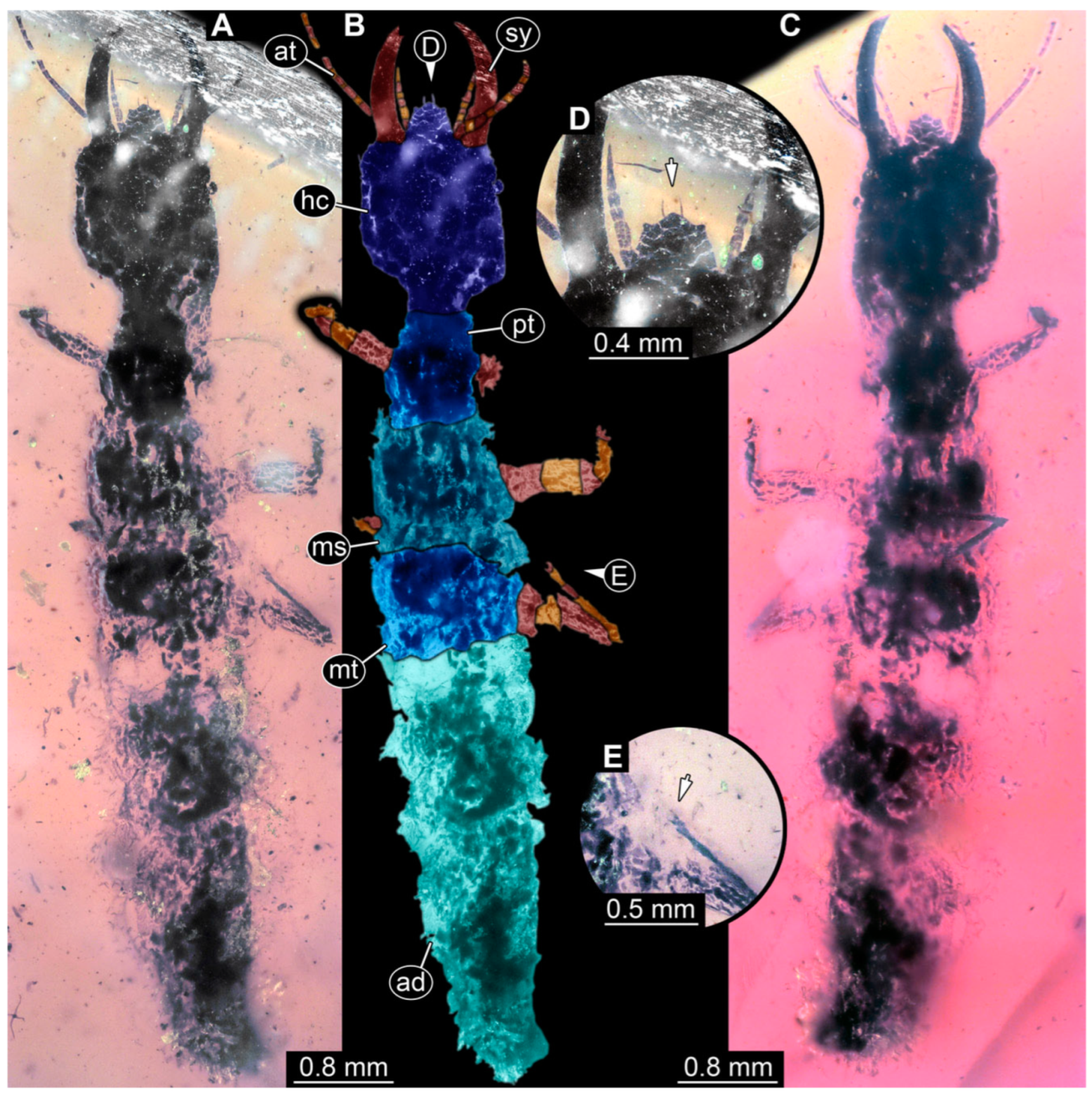 Insects 14 00170 g019 Insects 14 00170 g019