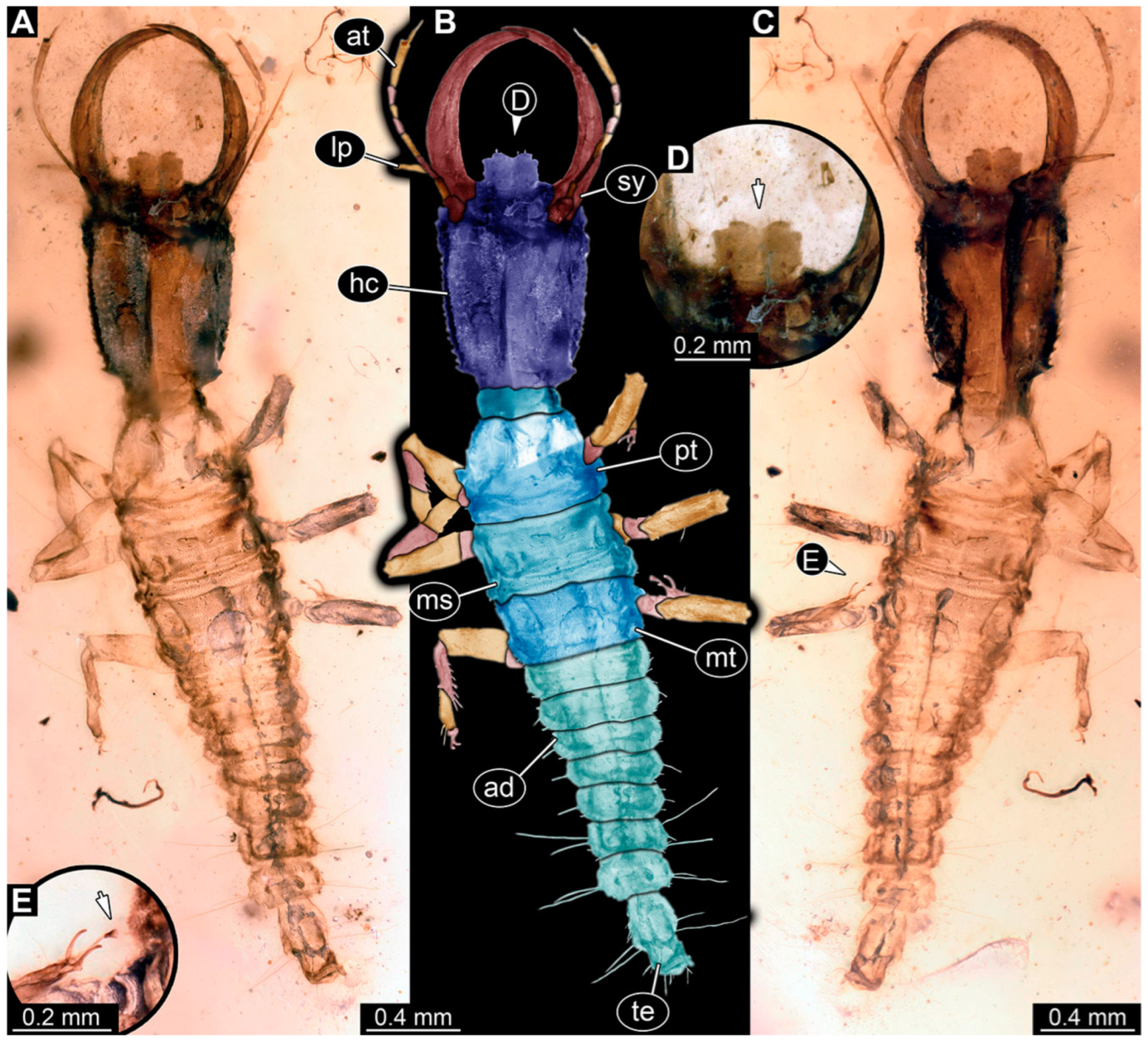 Insects 14 00170 g020 Insects 14 00170 g020