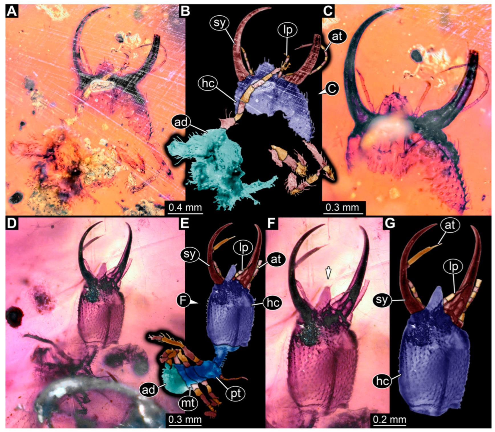 Insects 14 00170 g021 Insects 14 00170 g021