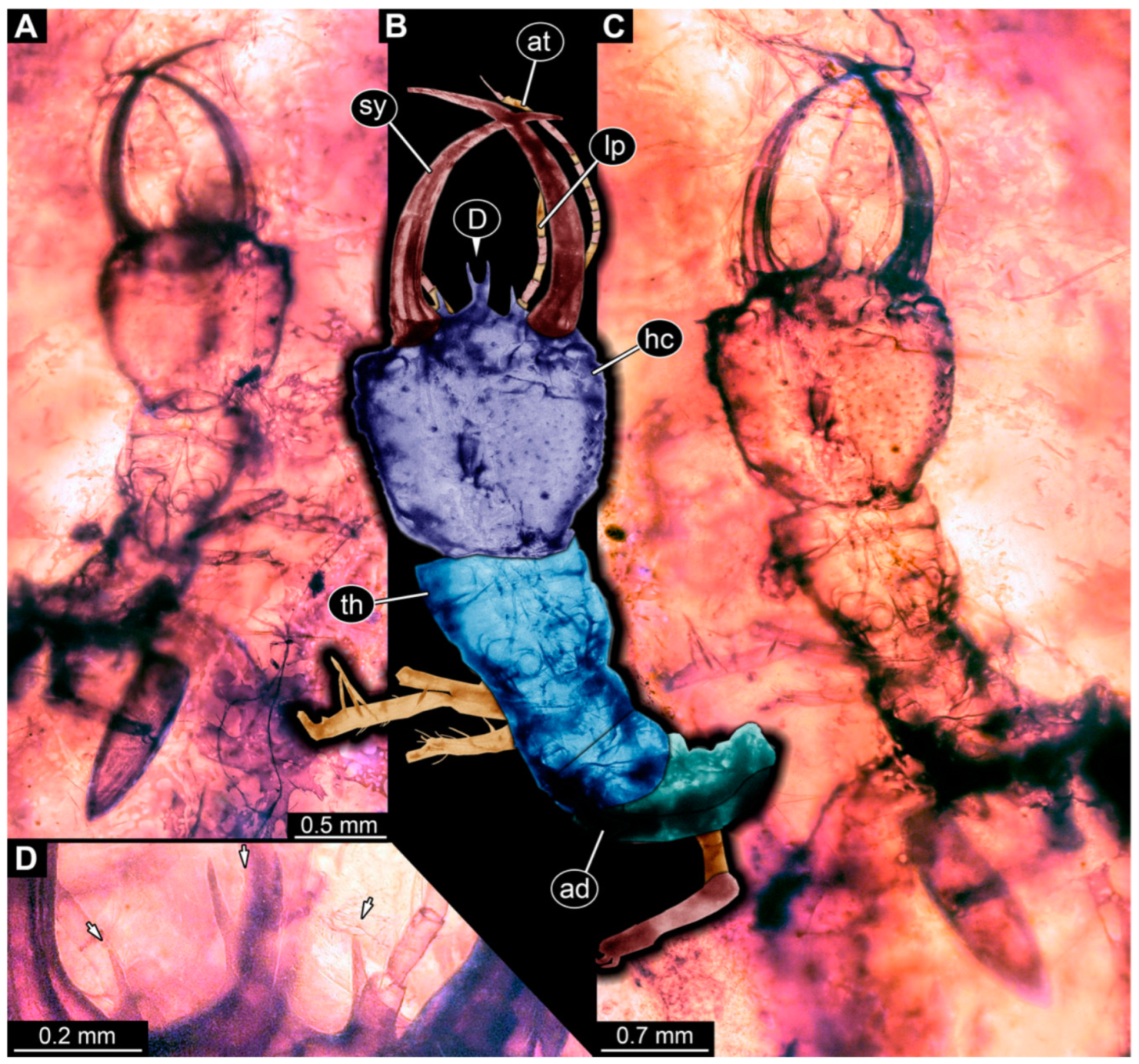 Insects 14 00170 g022 Insects 14 00170 g022