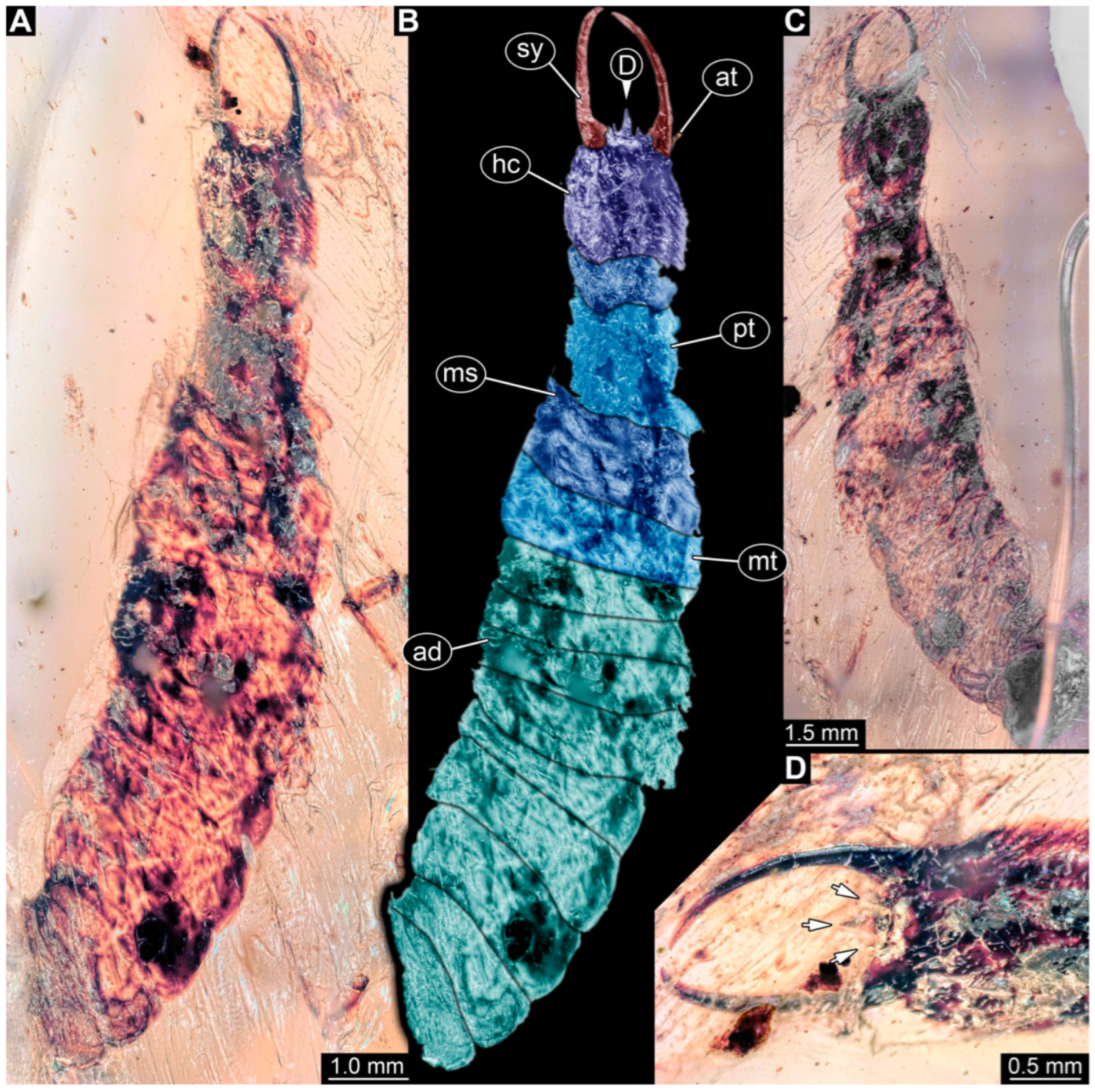 Insects 14 00170 g023 Insects 14 00170 g023