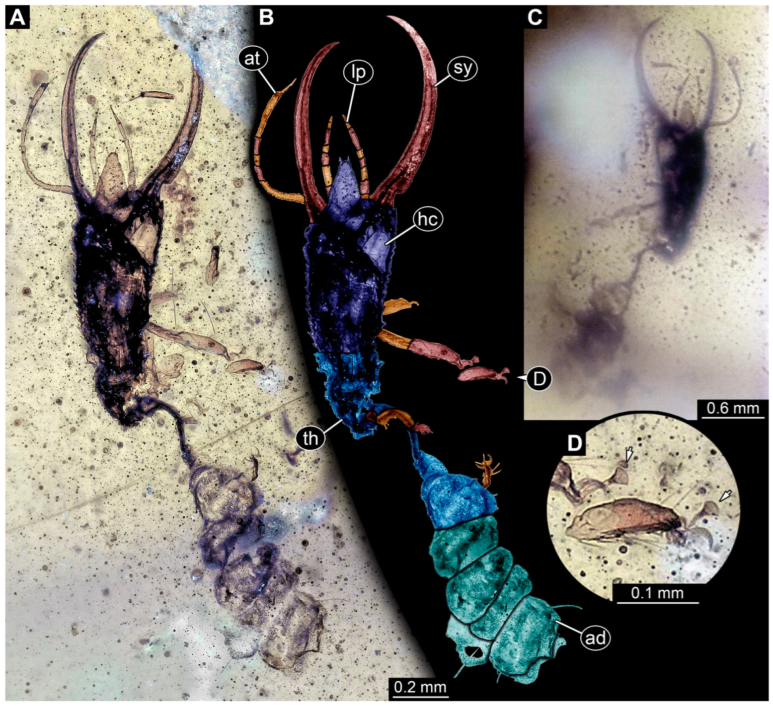 Insects 14 00170 g024 Insects 14 00170 g024