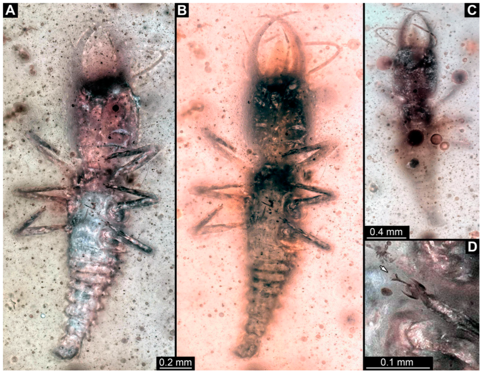 Insects 14 00170 g025 Insects 14 00170 g025