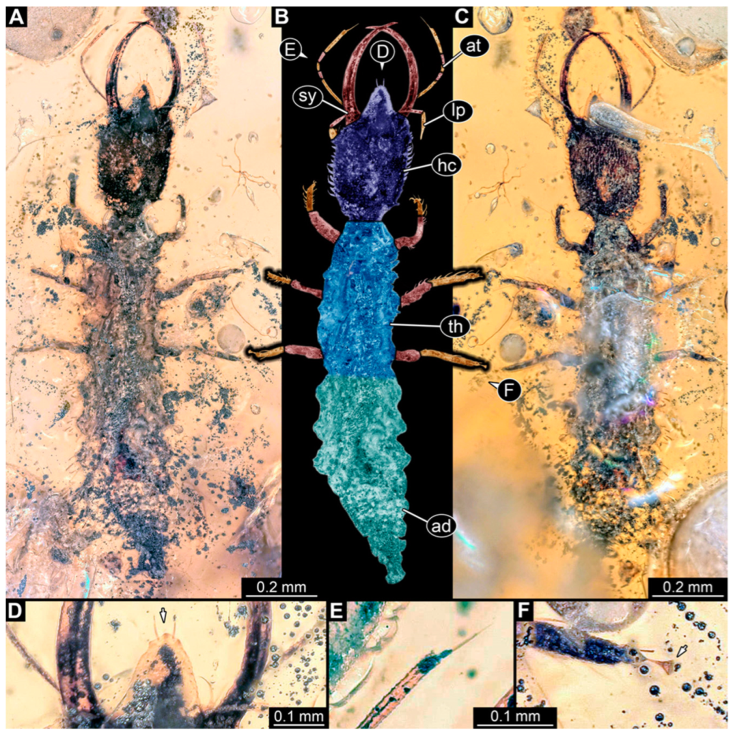 Insects 14 00170 g026 Insects 14 00170 g026