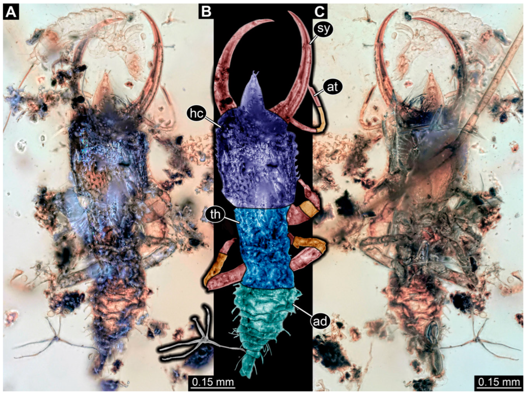 Insects 14 00170 g027 Insects 14 00170 g027