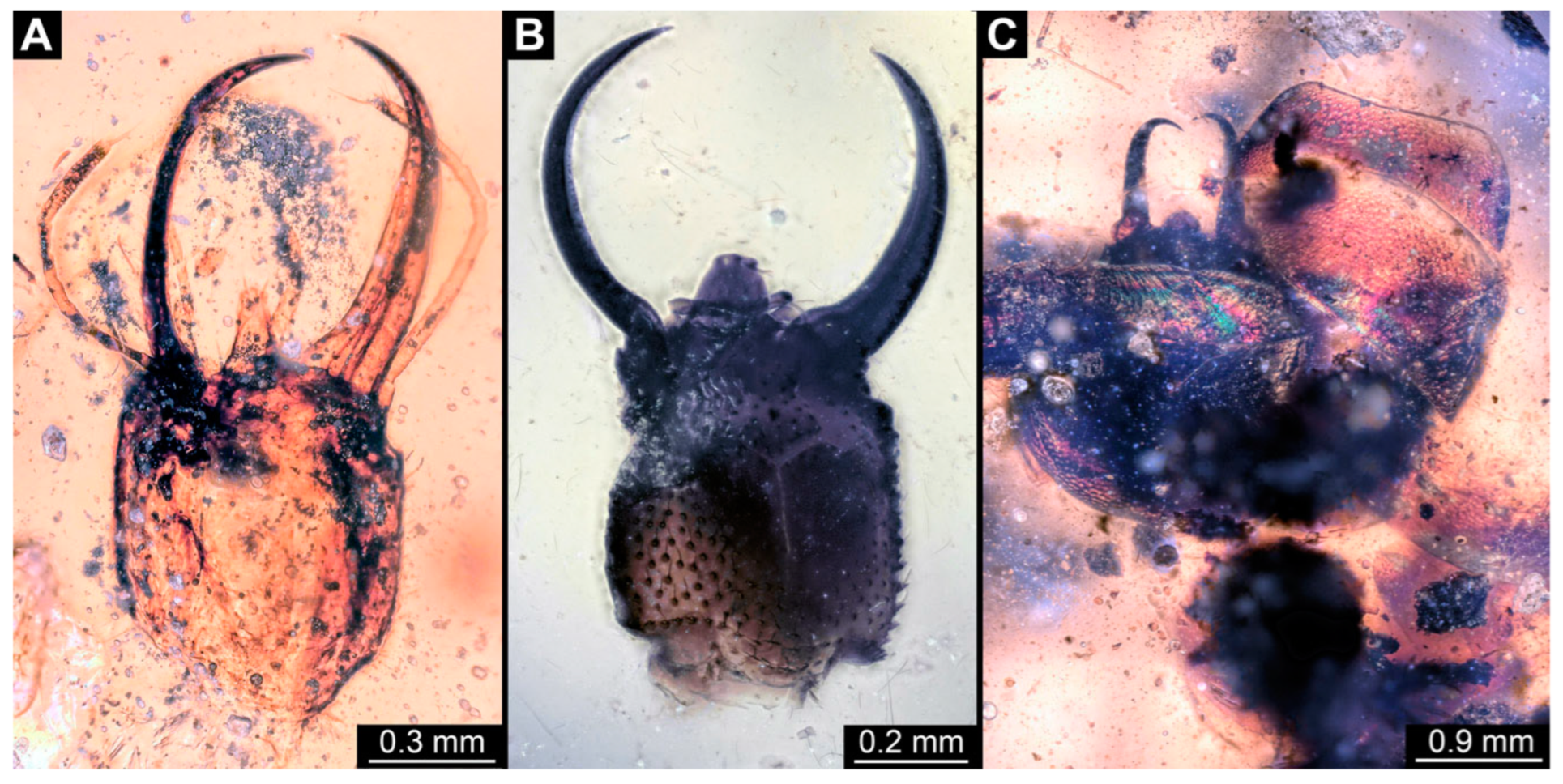 Insects 14 00170 g028 Insects 14 00170 g028