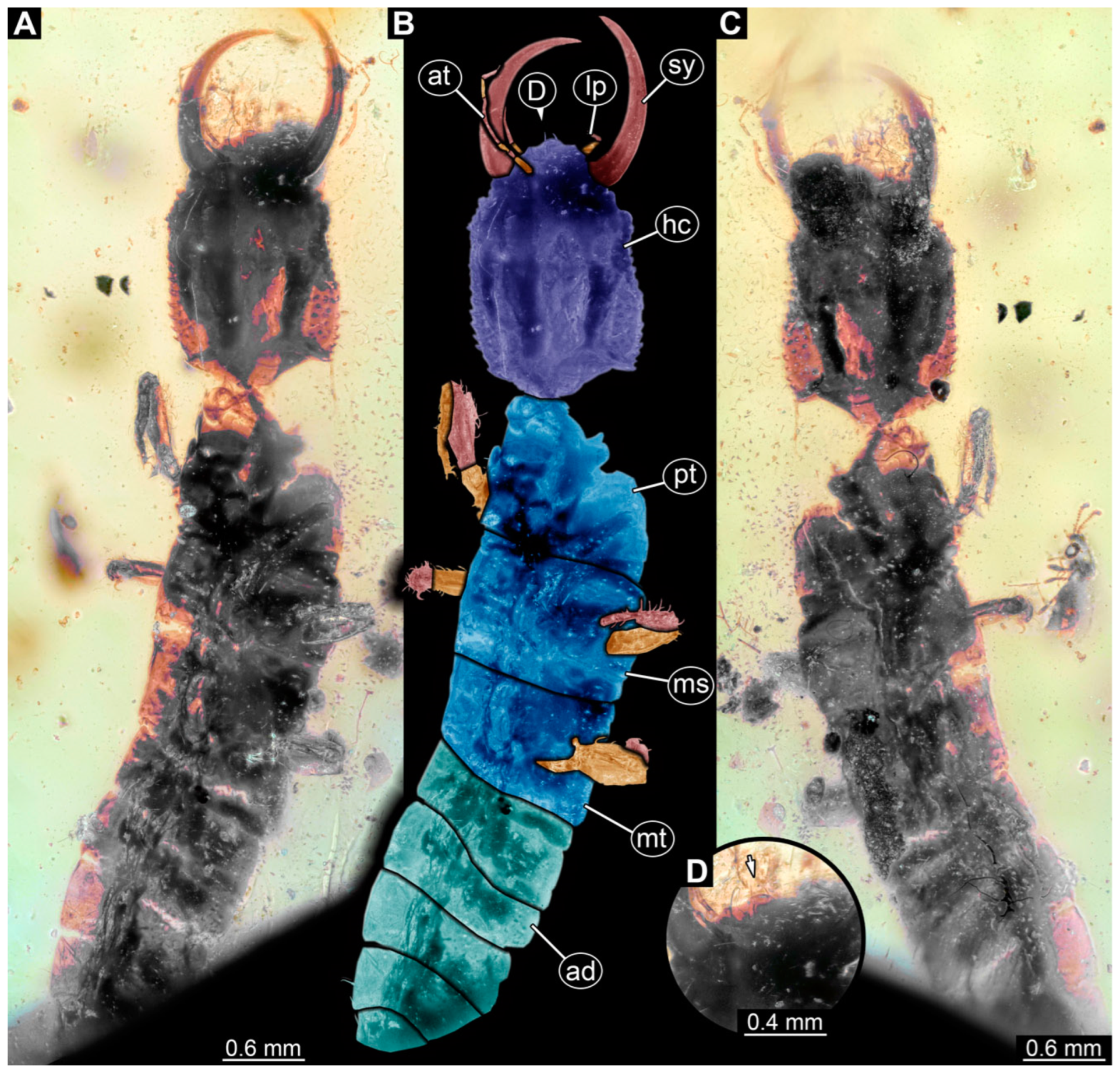 Insects 14 00170 g029 Insects 14 00170 g029