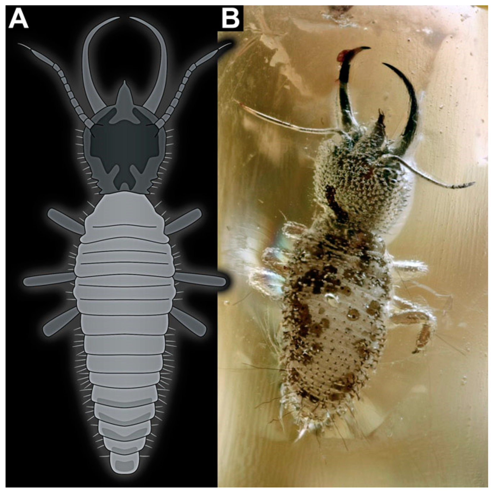 Insects 14 00170 g030 Insects 14 00170 g030