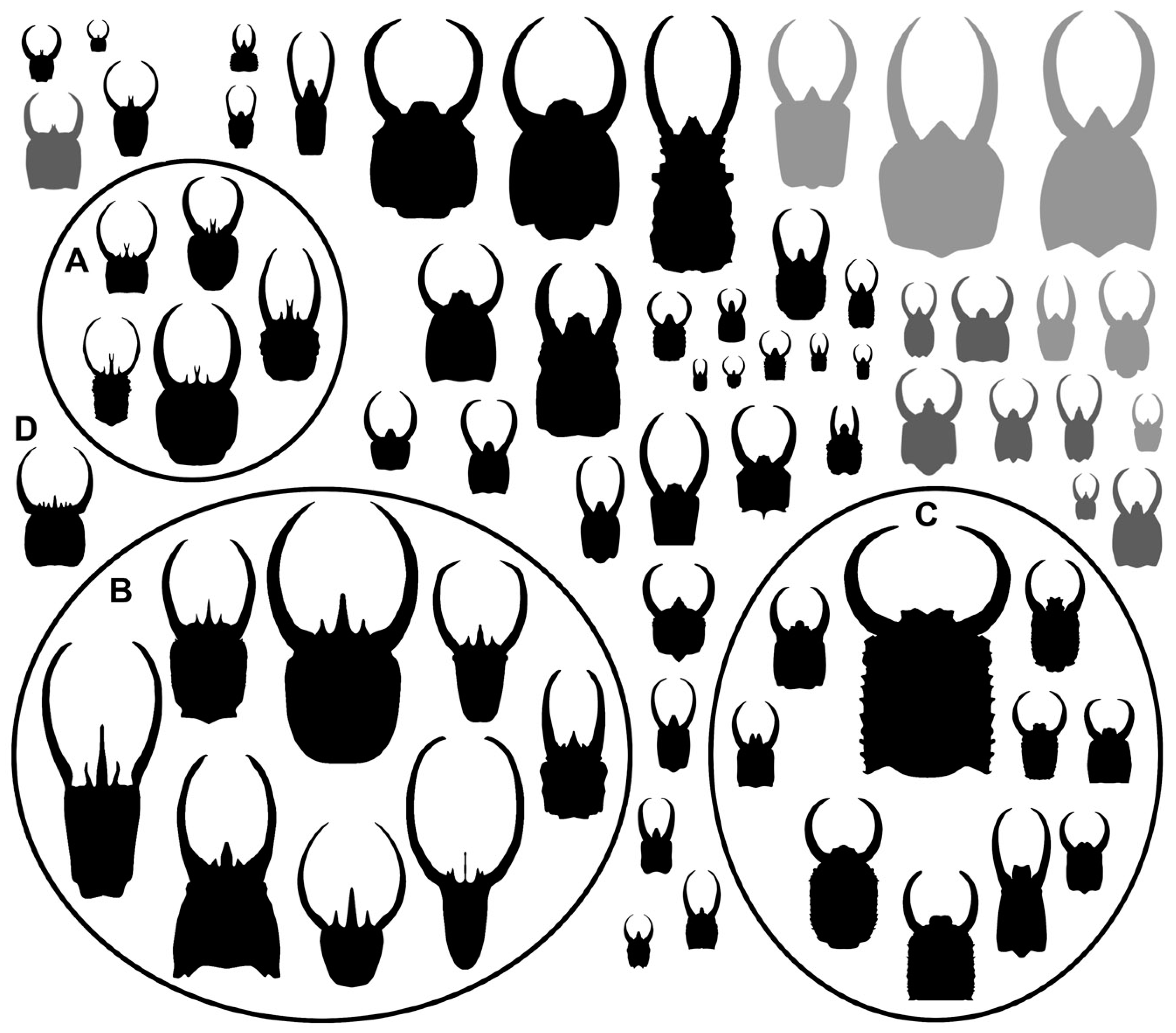 Insects 14 00170 g037 Insects 14 00170 g037