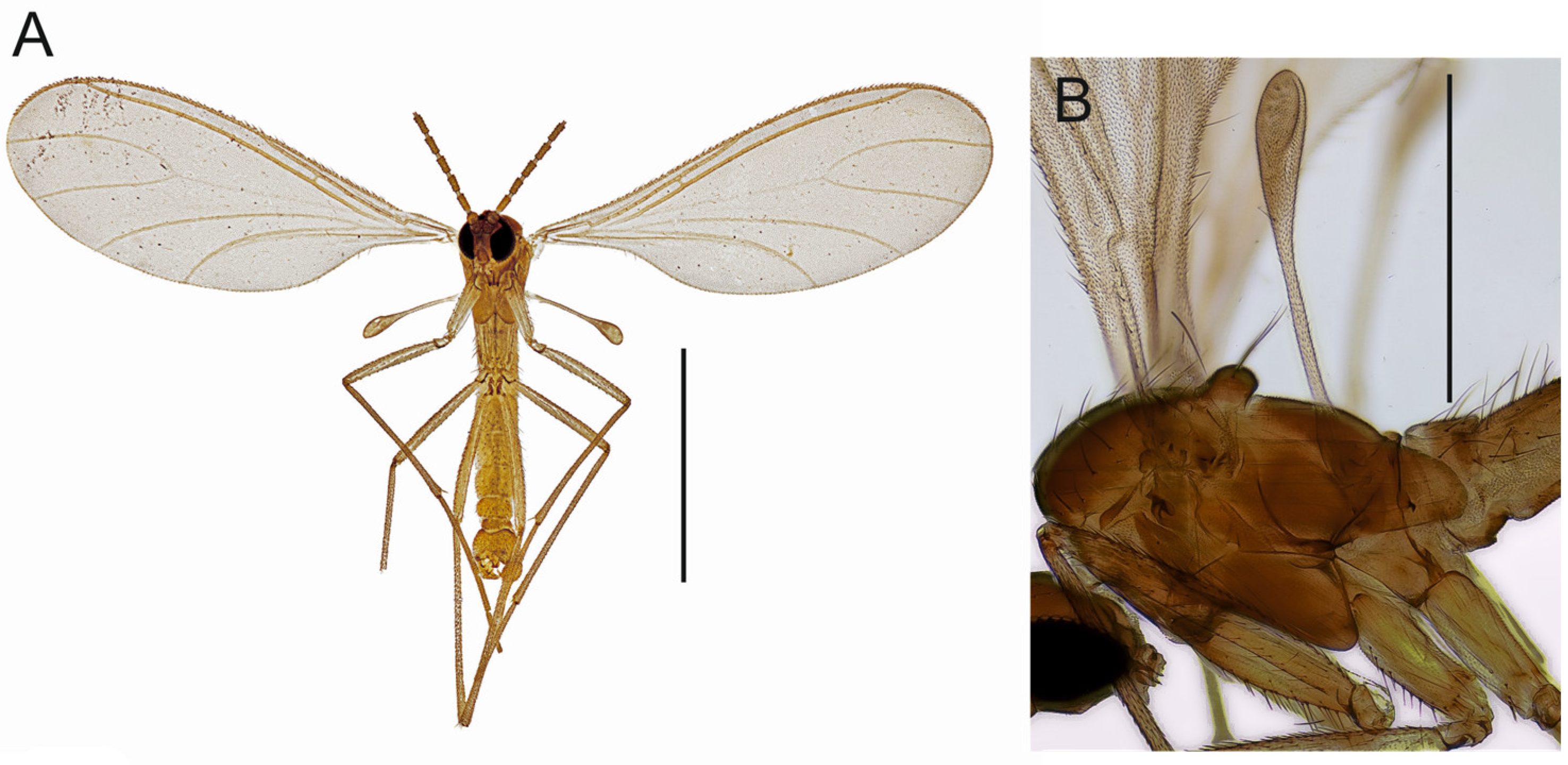 Insects 14 00173 g002