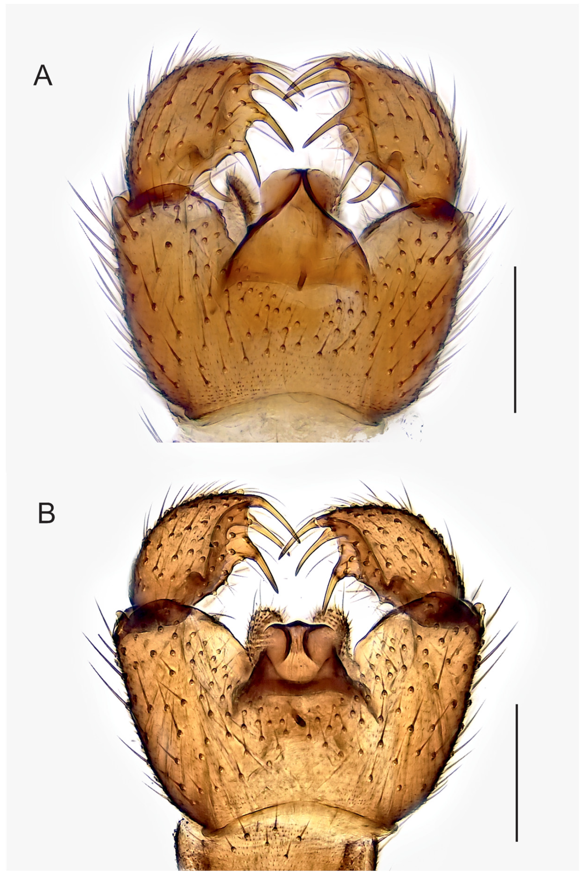 Insects 14 00173 g005