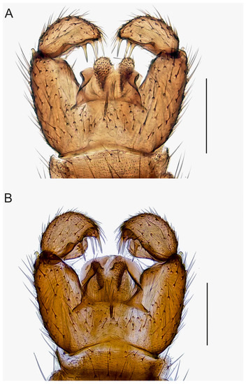 Insects 14 00173 g006