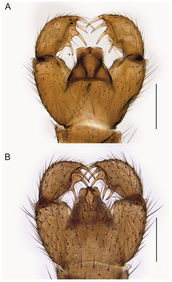 Insects 14 00173 g007