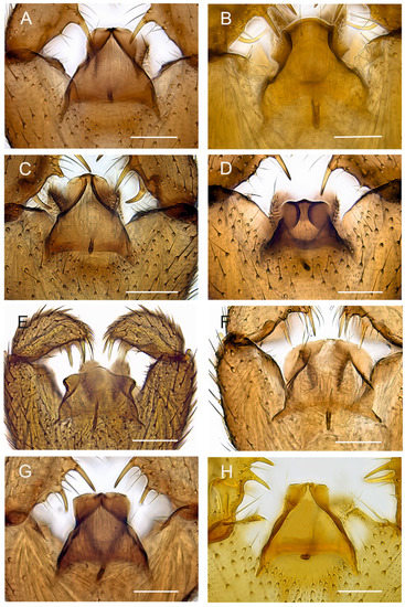 Insects 14 00173 g009