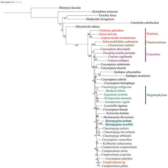 Insects 14 00173 g010