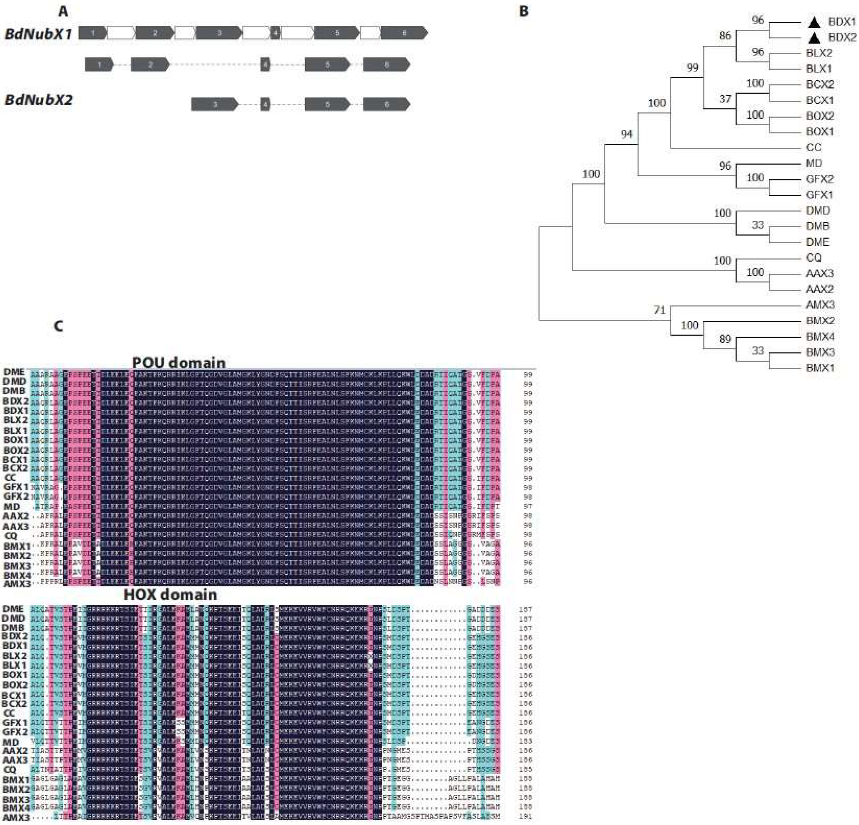 Insects 14 00178 g001