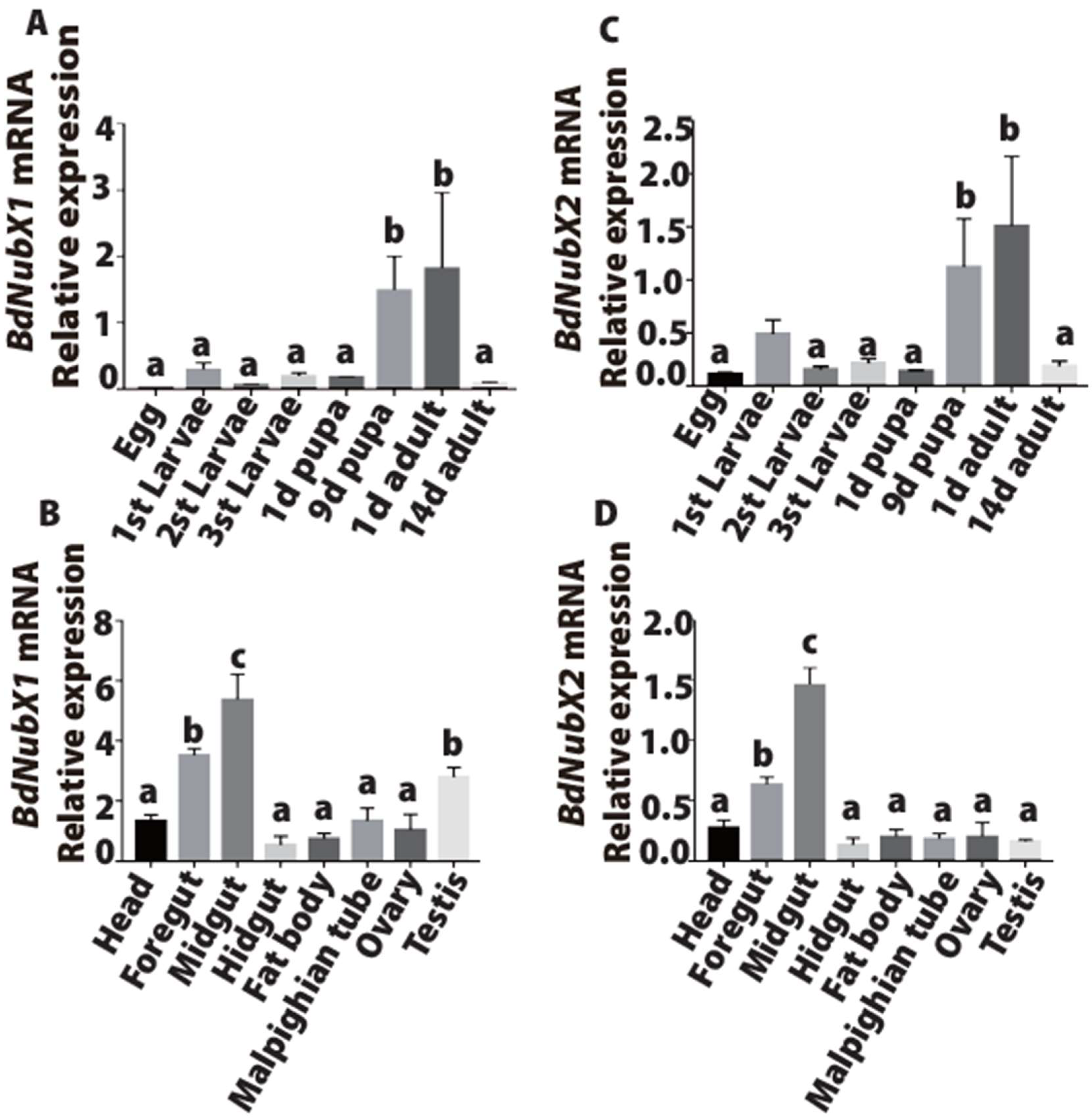 Insects 14 00178 g002