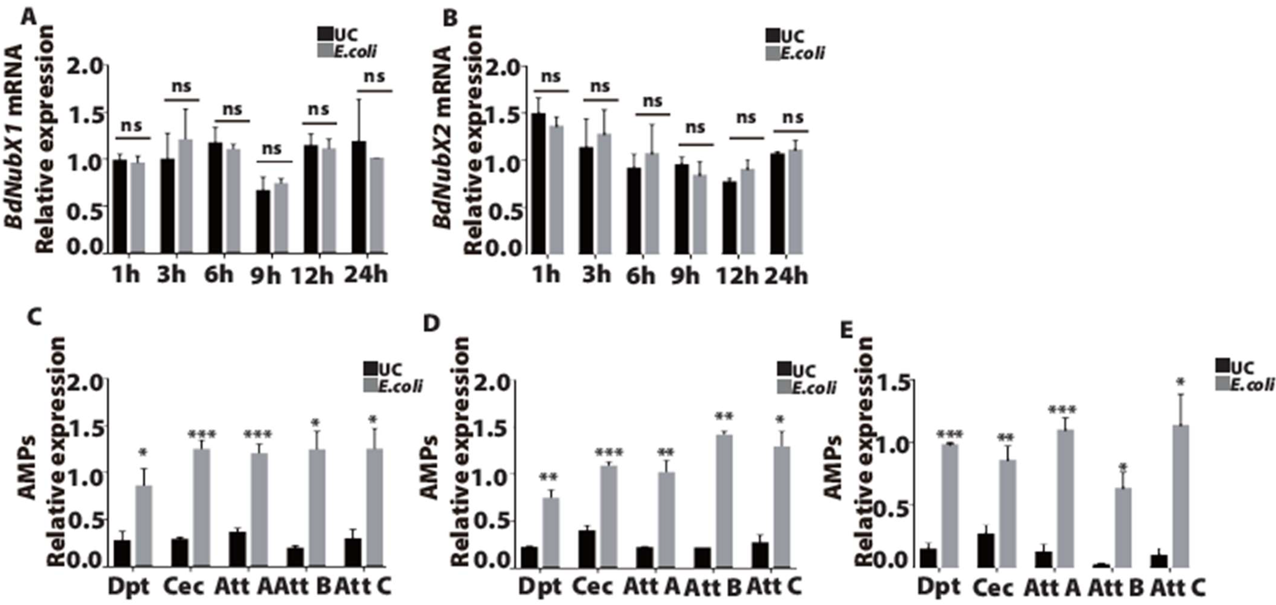 Insects 14 00178 g003