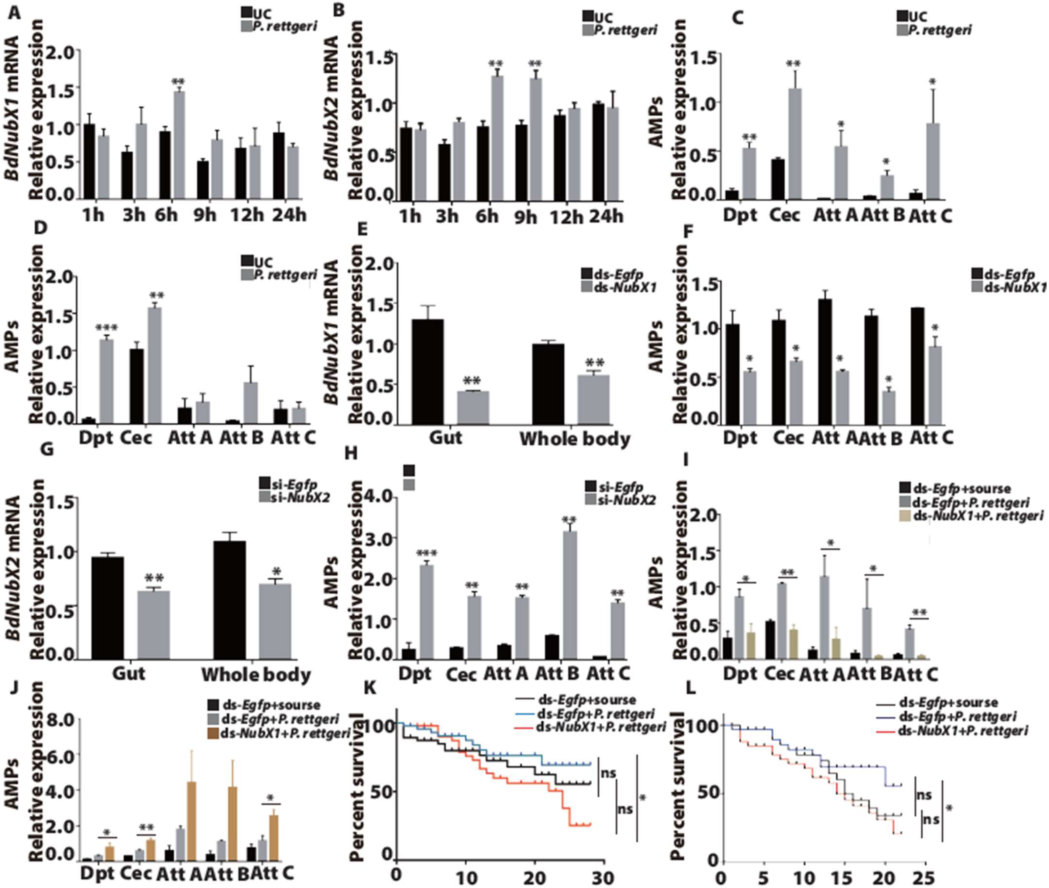 Insects 14 00178 g004