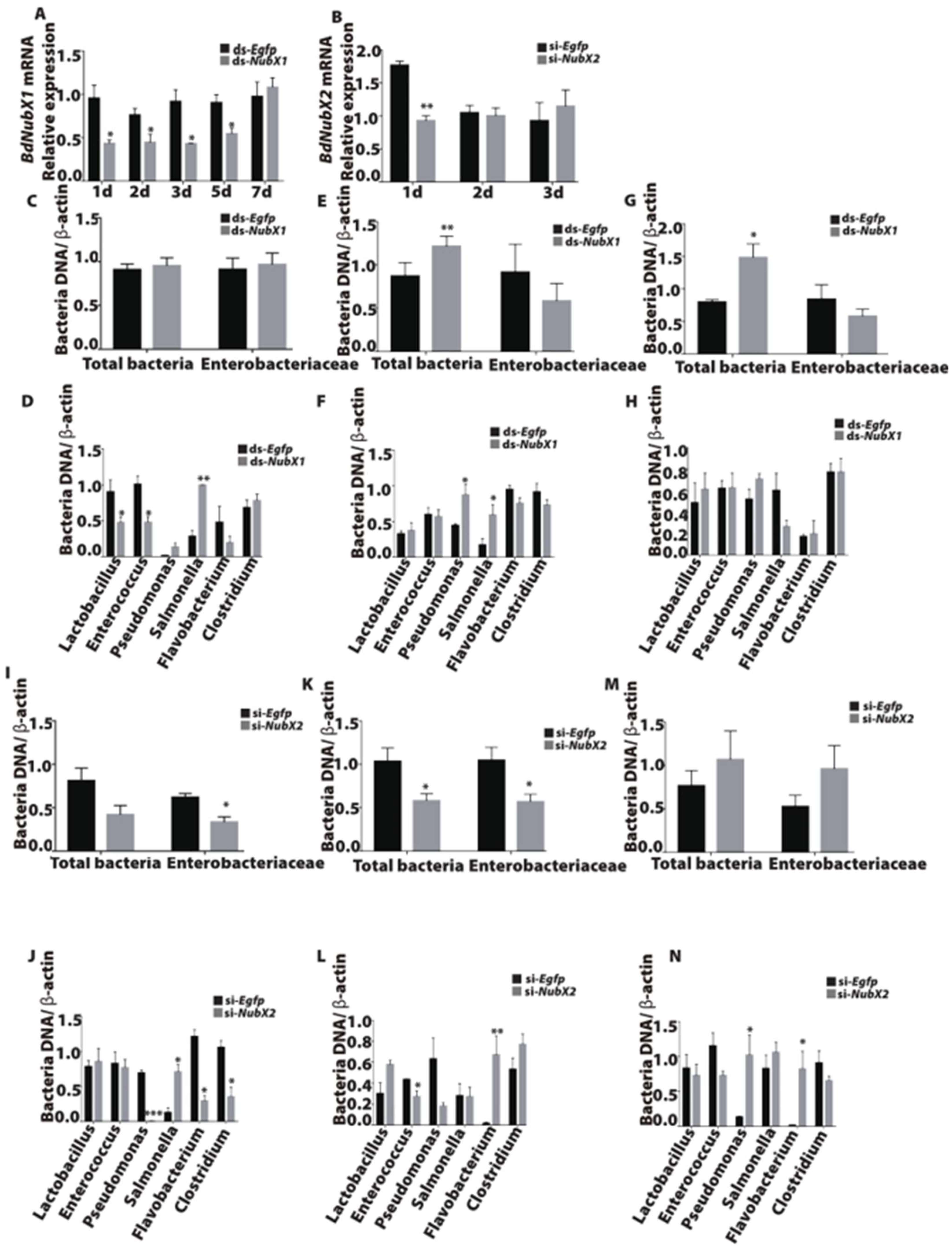 Insects 14 00178 g005