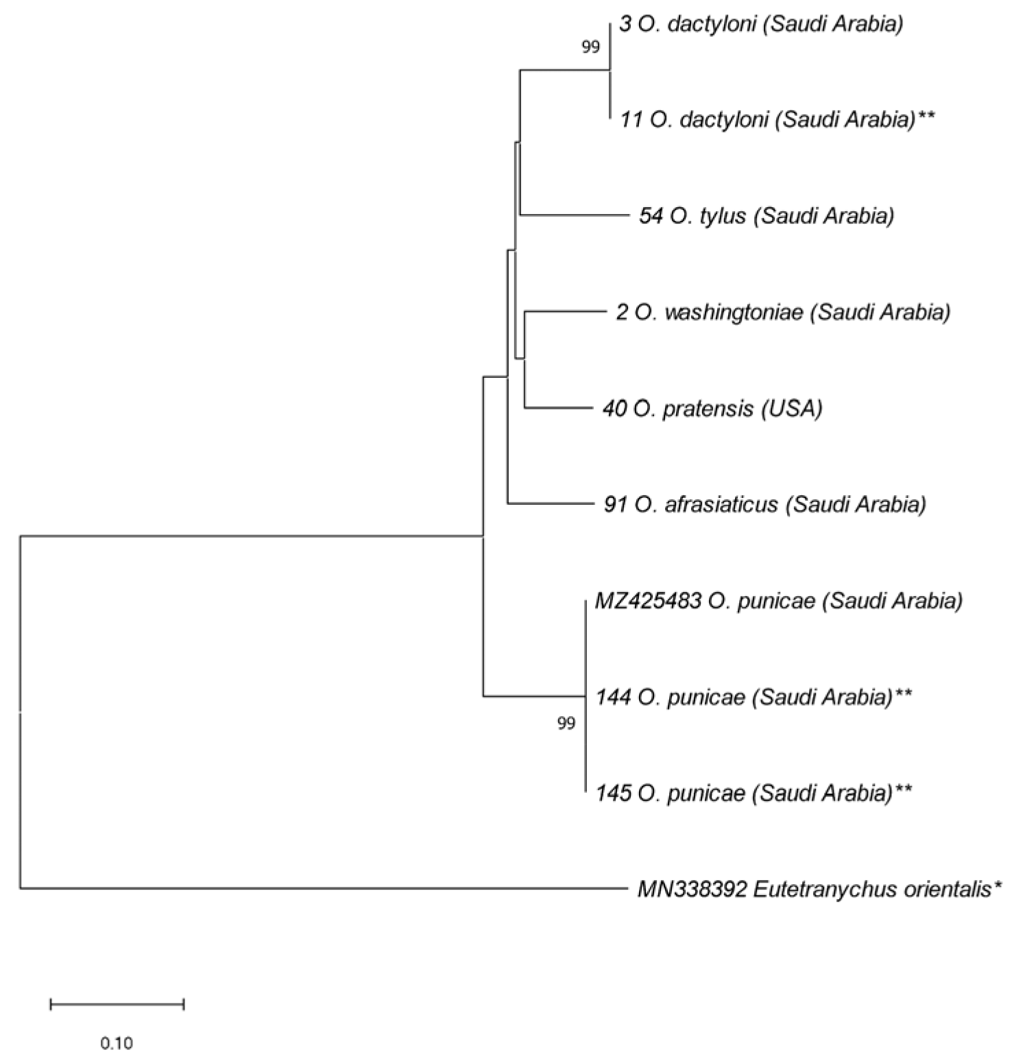 Insects 14 00192 g004