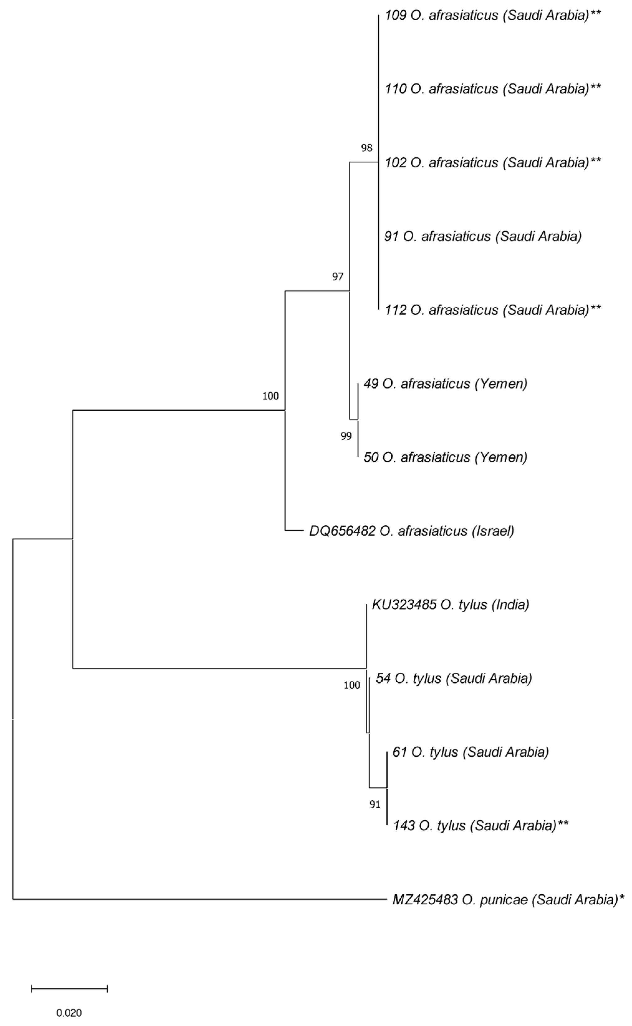 Insects 14 00192 g006