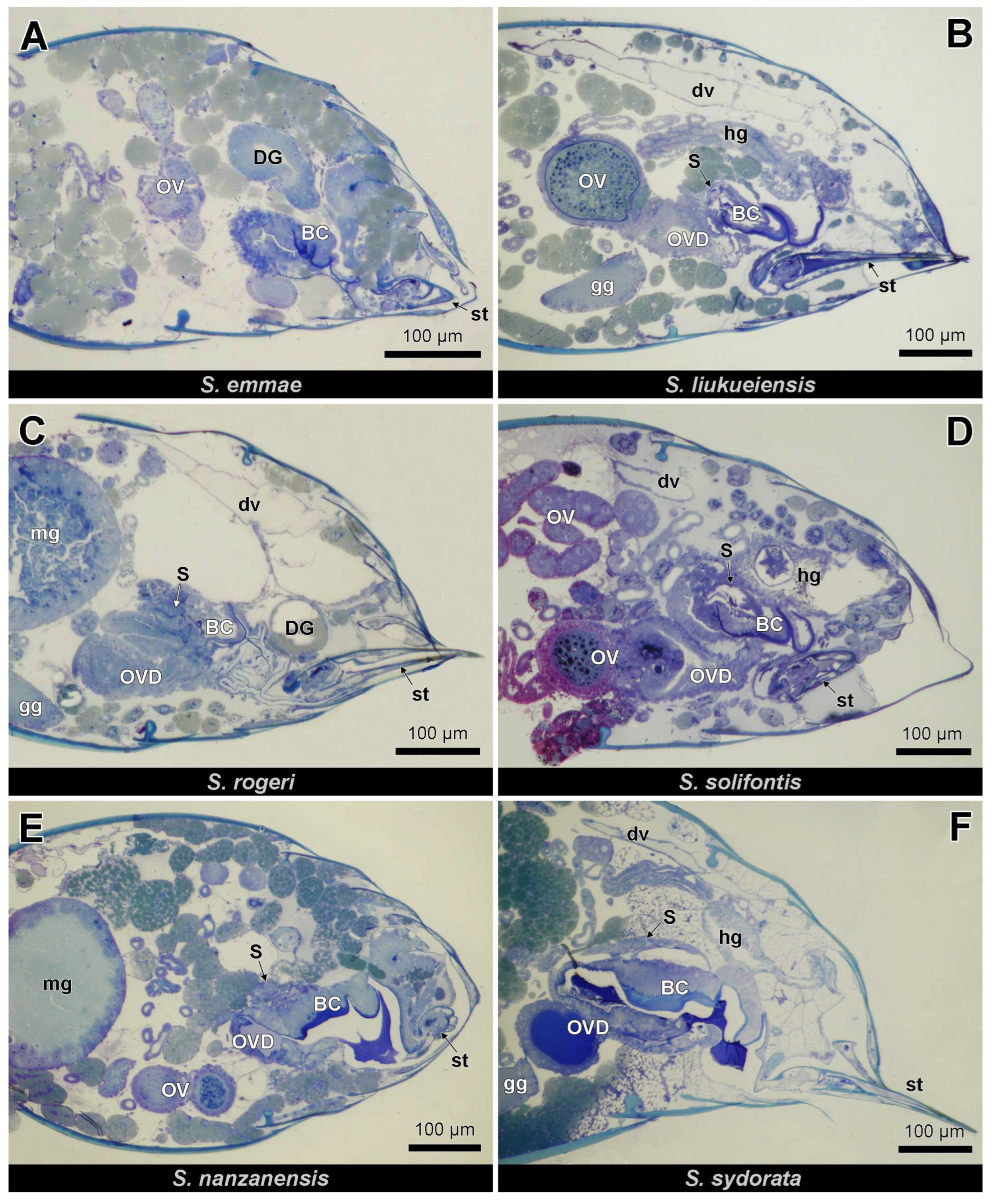Insects 14 00195 g002