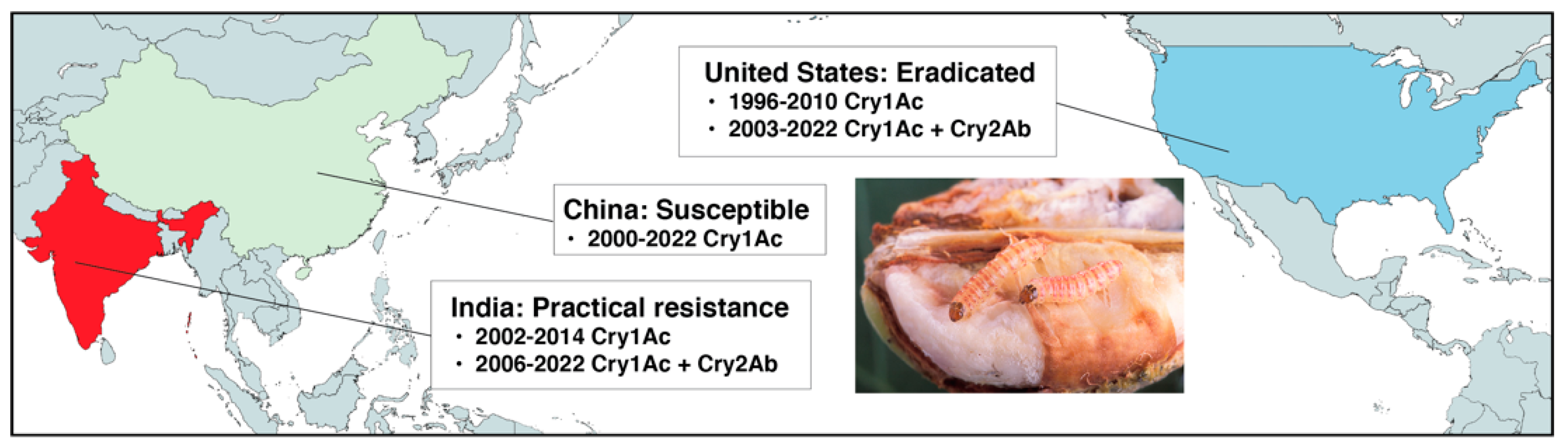Insects 14 00201 g001