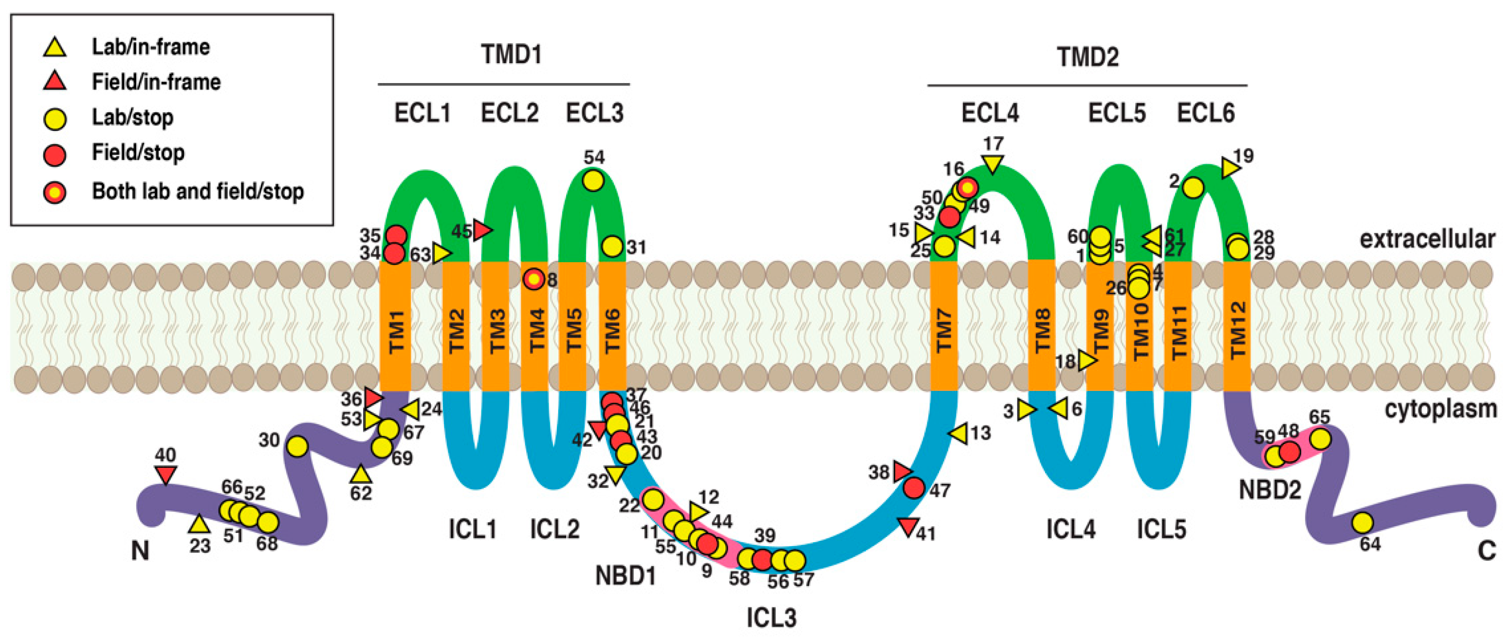 Insects 14 00201 g005