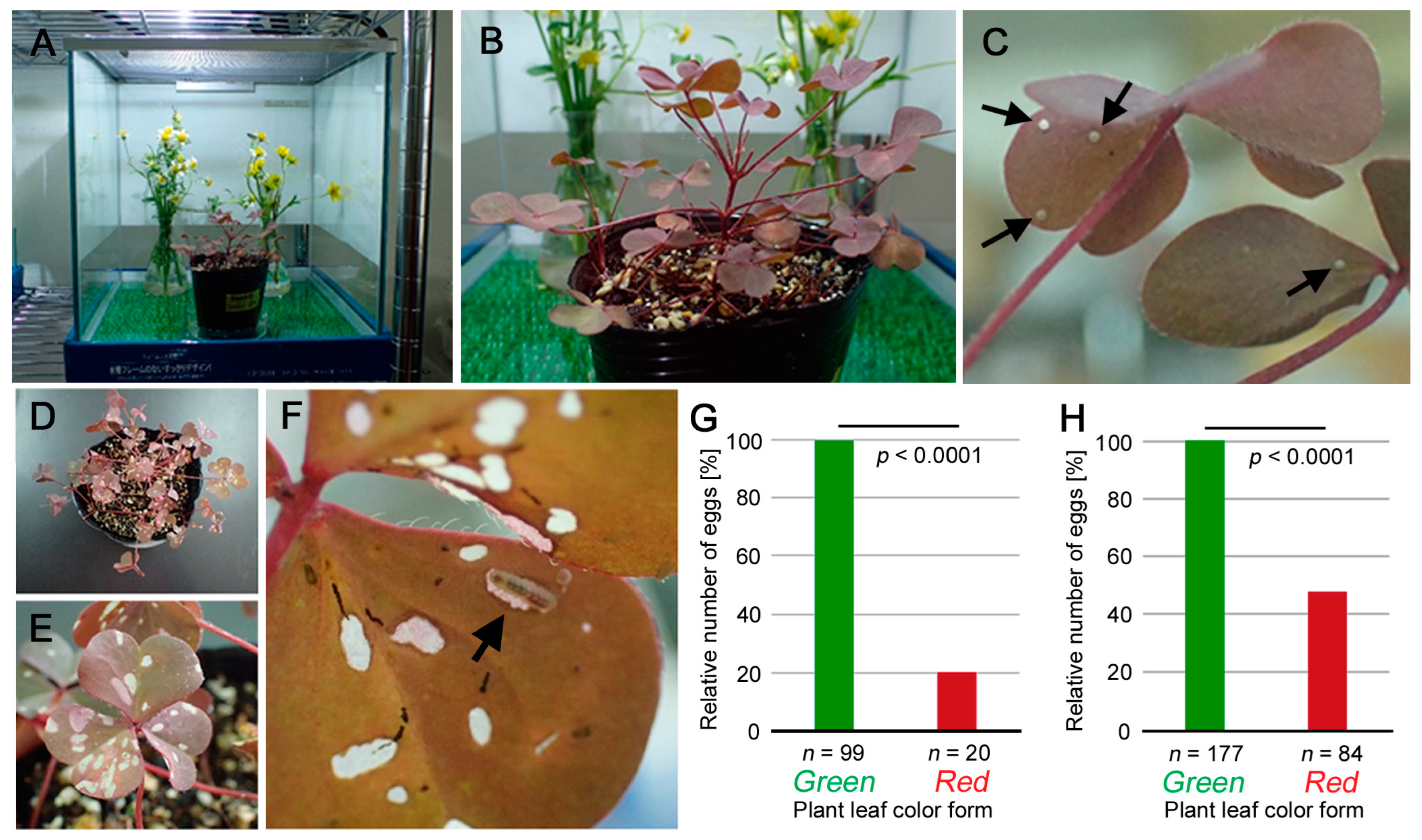 Insects 14 00202 g002
