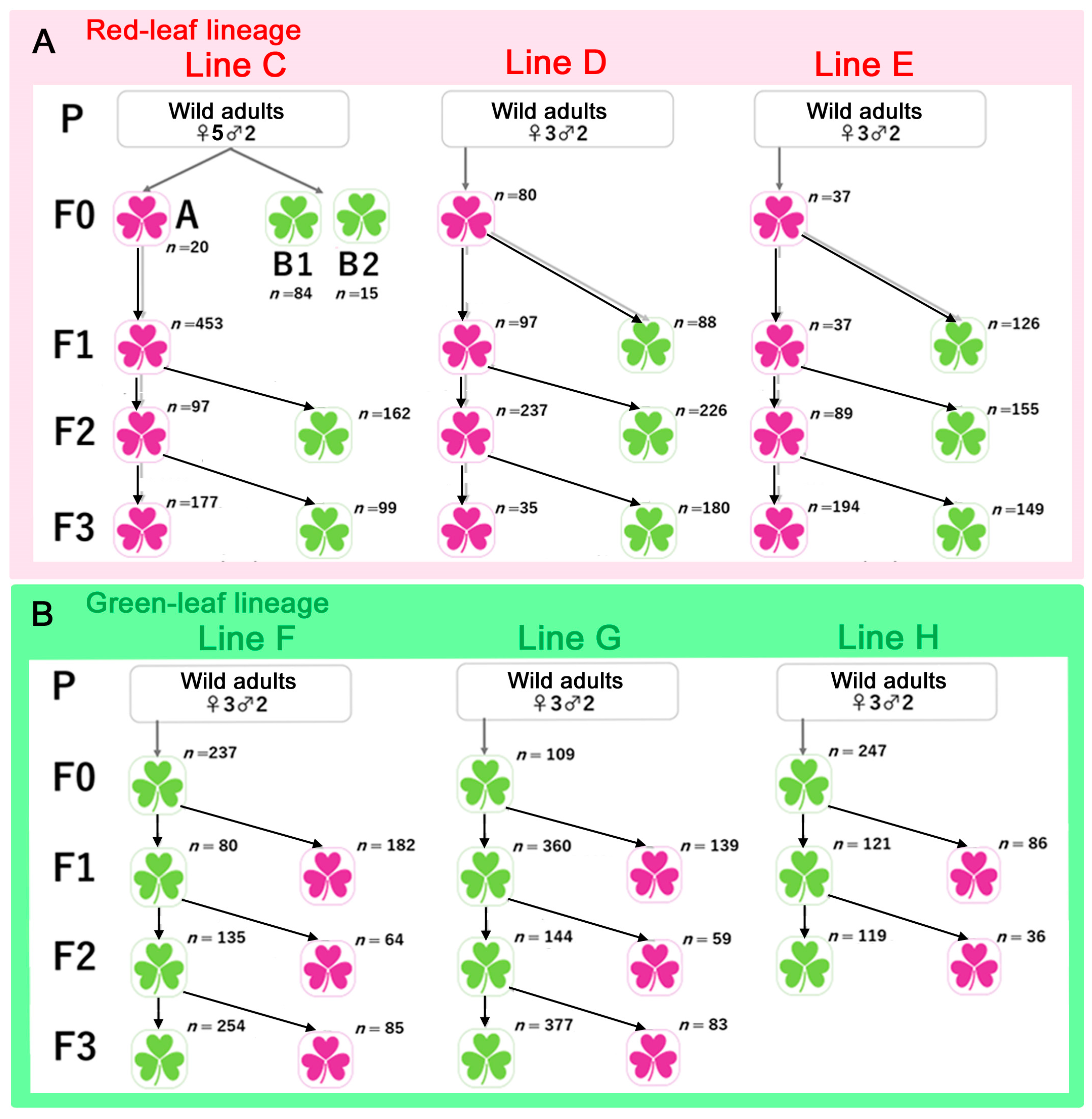 Insects 14 00202 g004