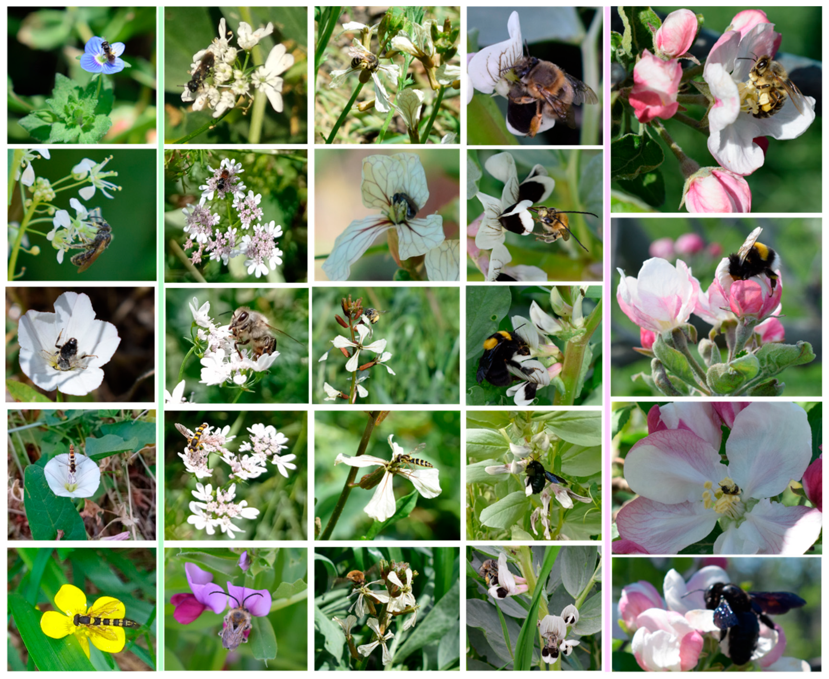 Insects 14 00208 g007