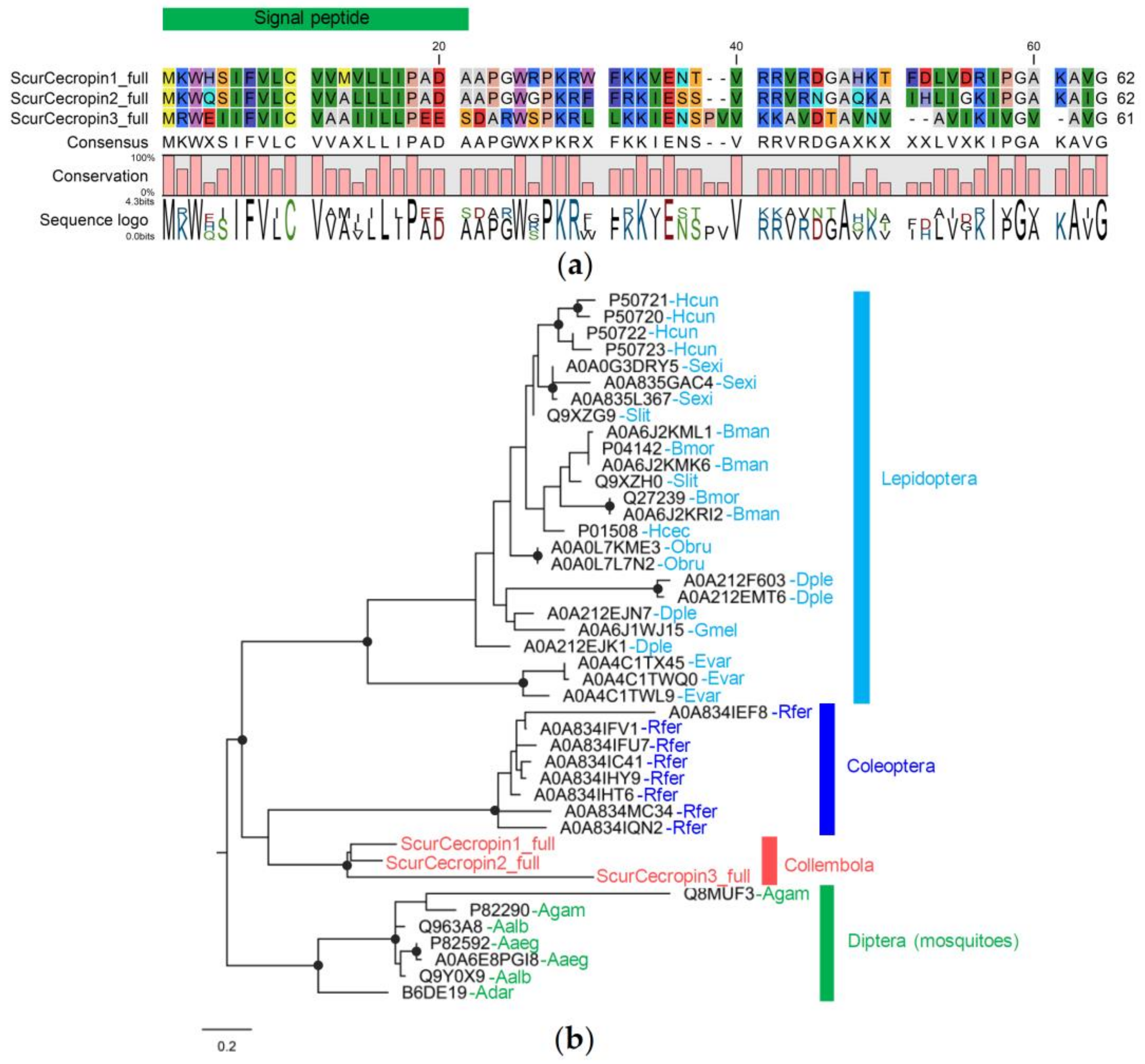 Insects 14 00215 g006