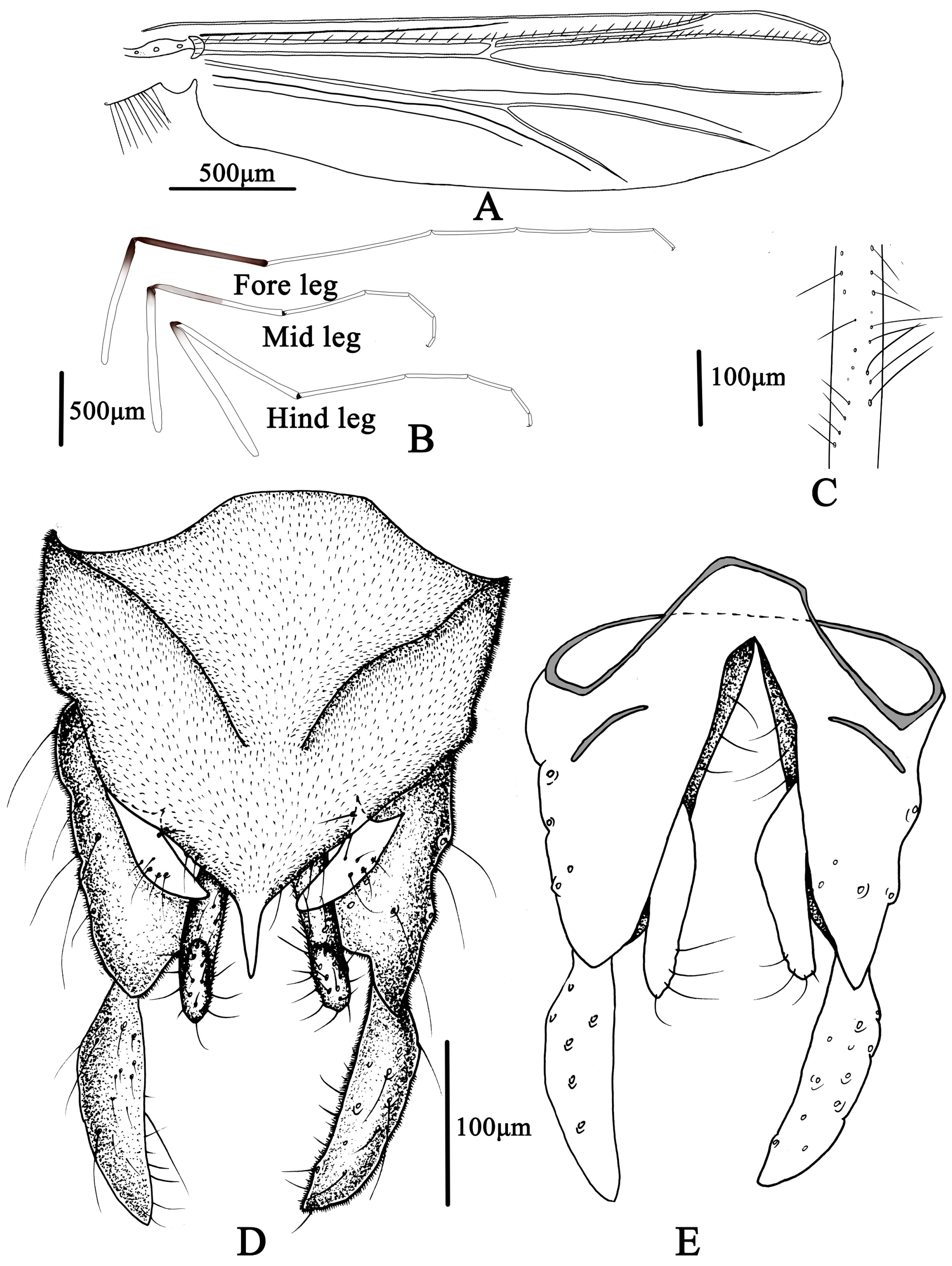 Insects 14 00227 g009