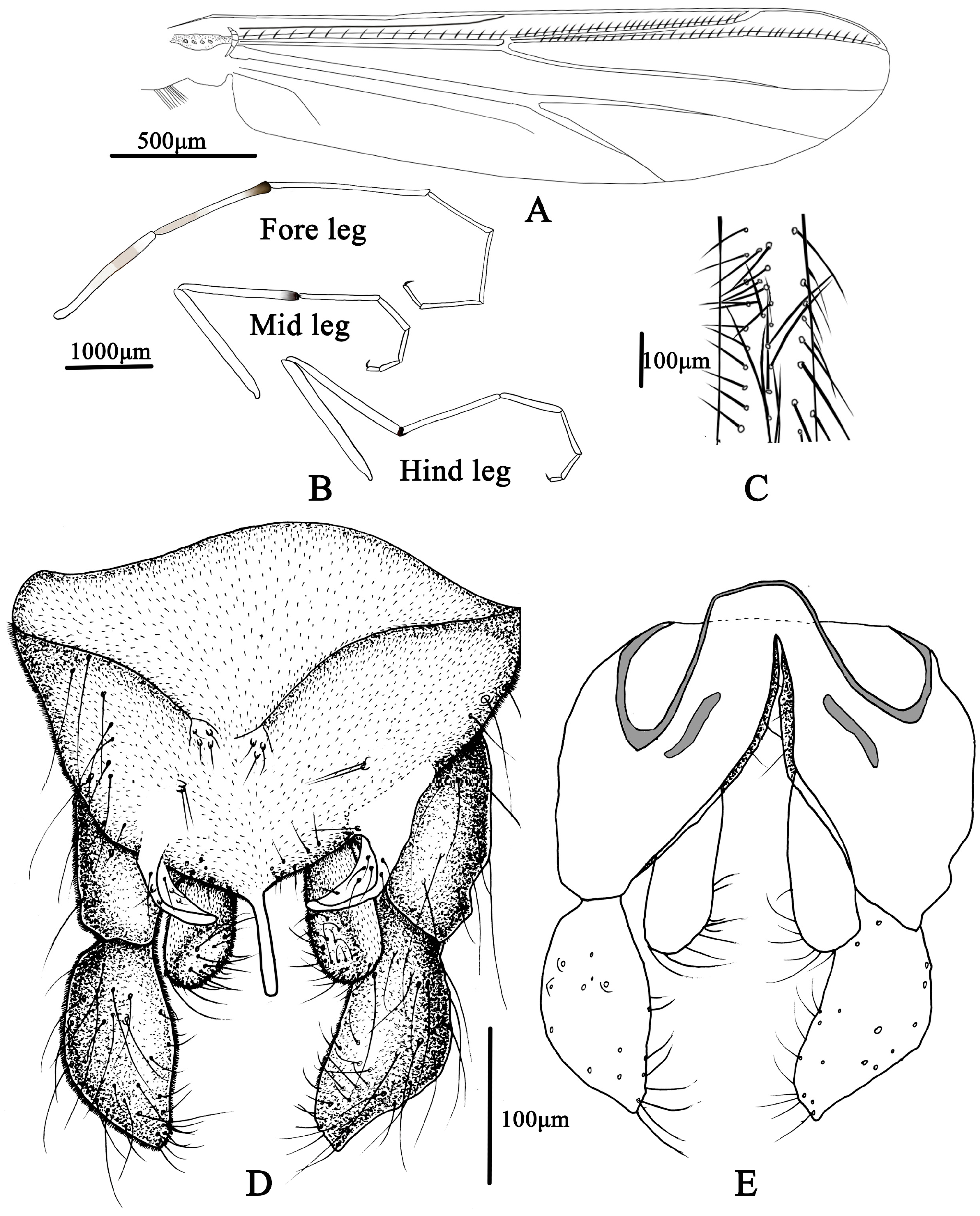 Insects 14 00227 g011