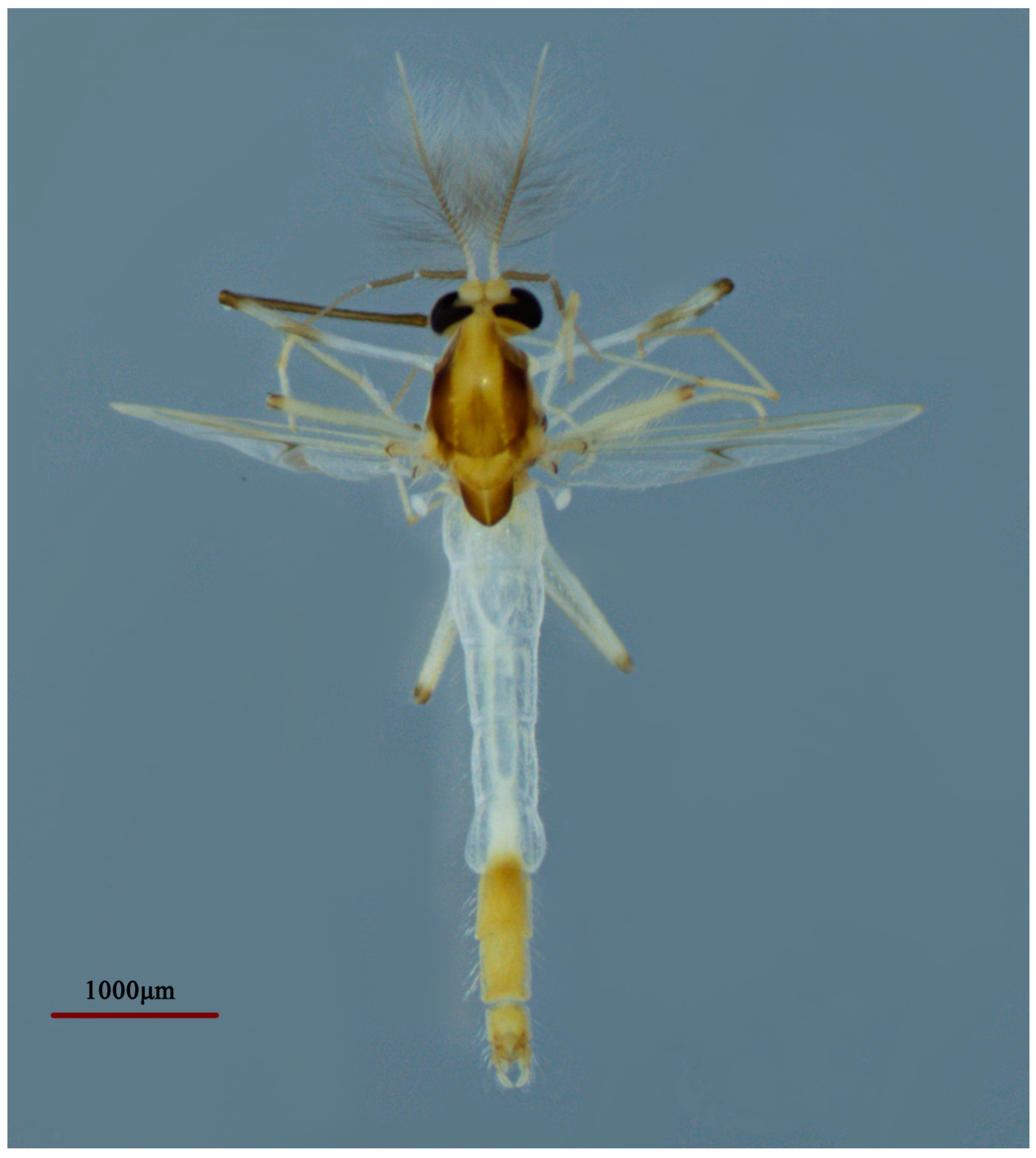 Insects 14 00227 g012